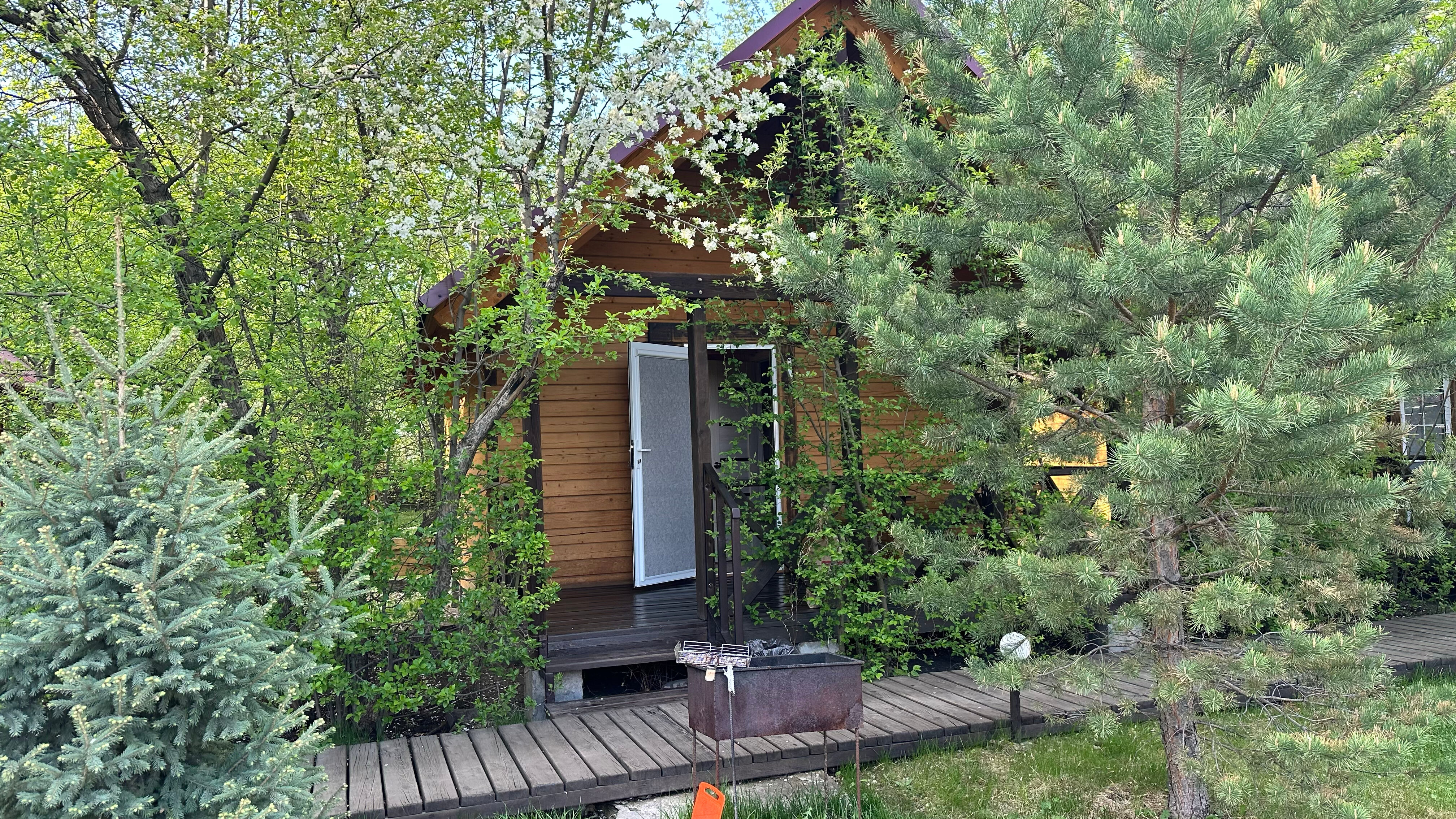 Фото Чемальское лето