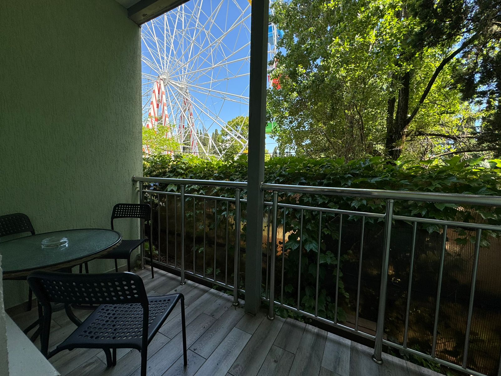 Фото Тростник