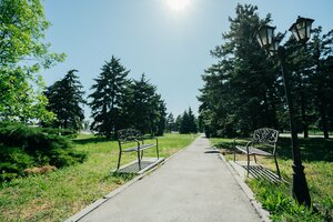 Гостиница Аэро отель