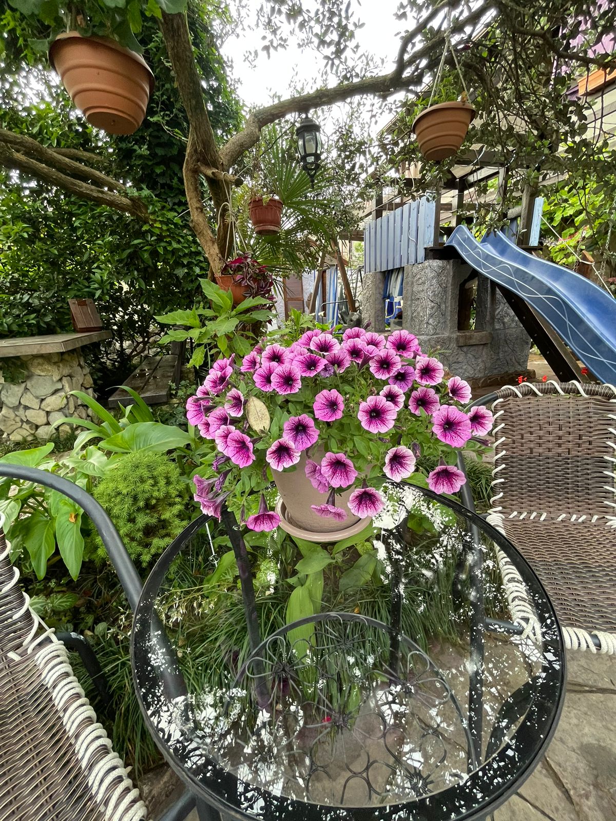 Фото У Палыча