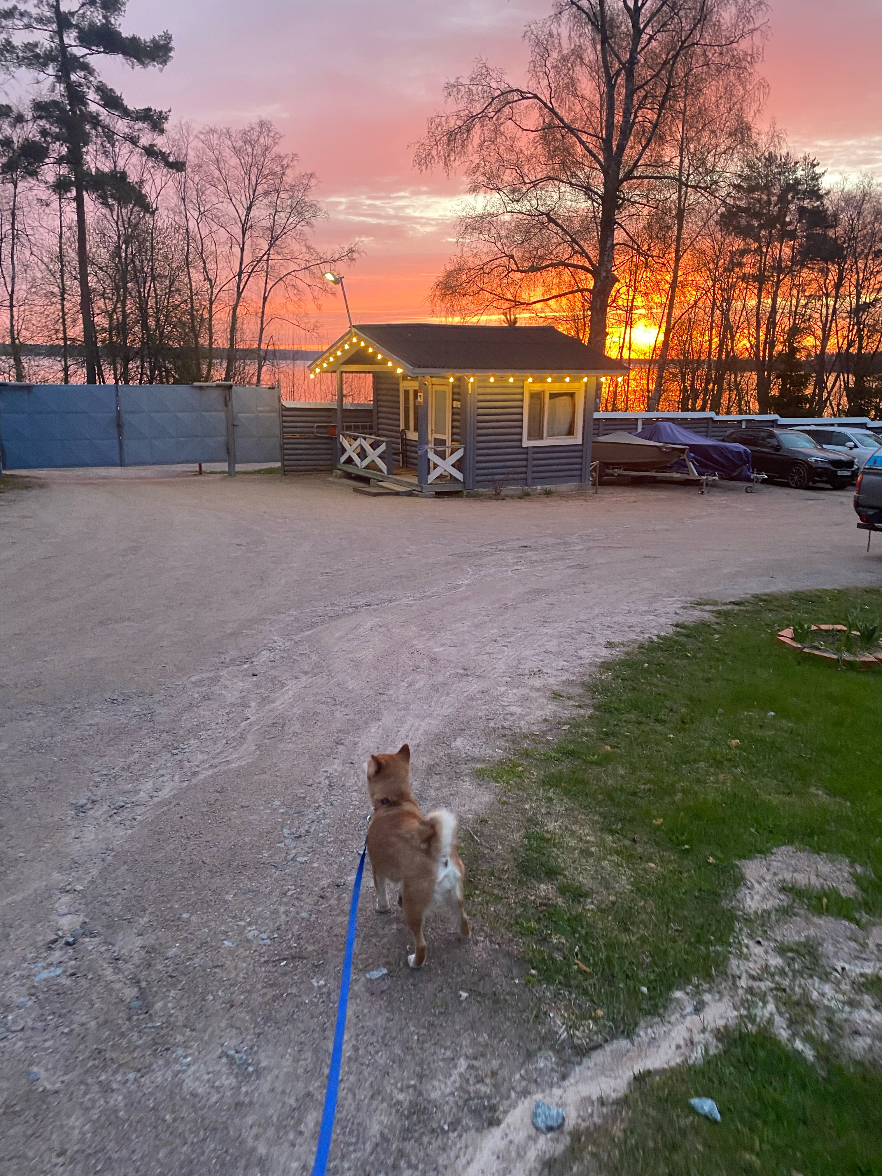 Фото Аквамарин