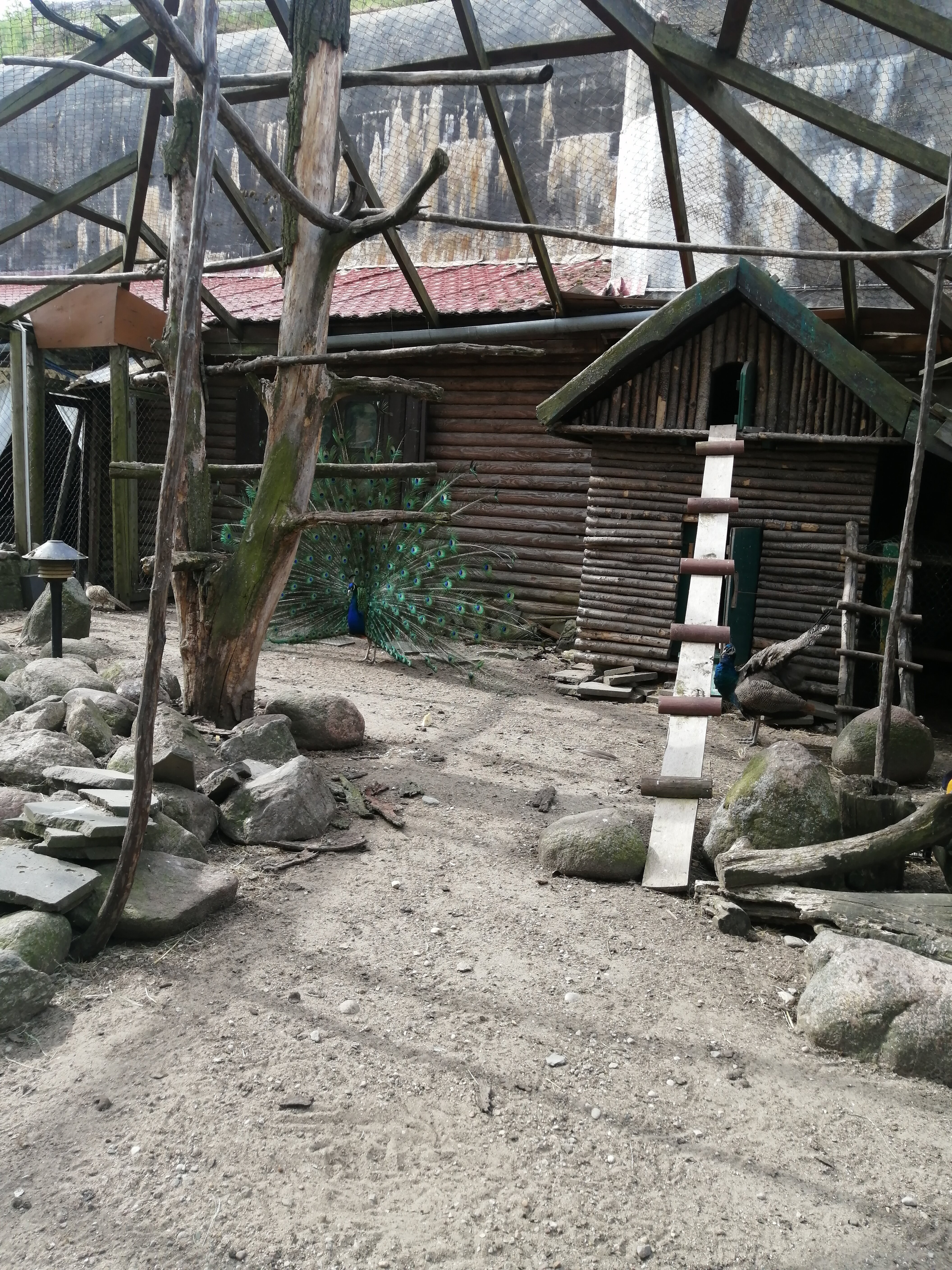 Фото Старый город