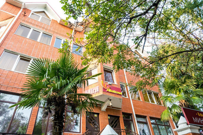 Фото Альбатрос