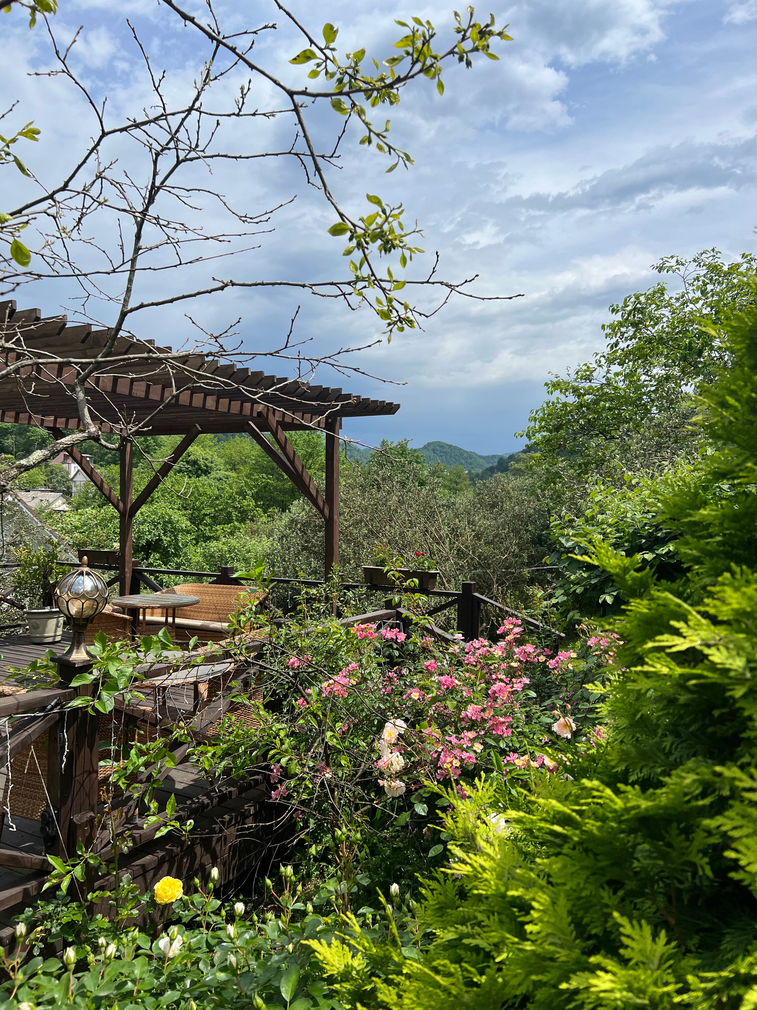 Фото Желтый Дом