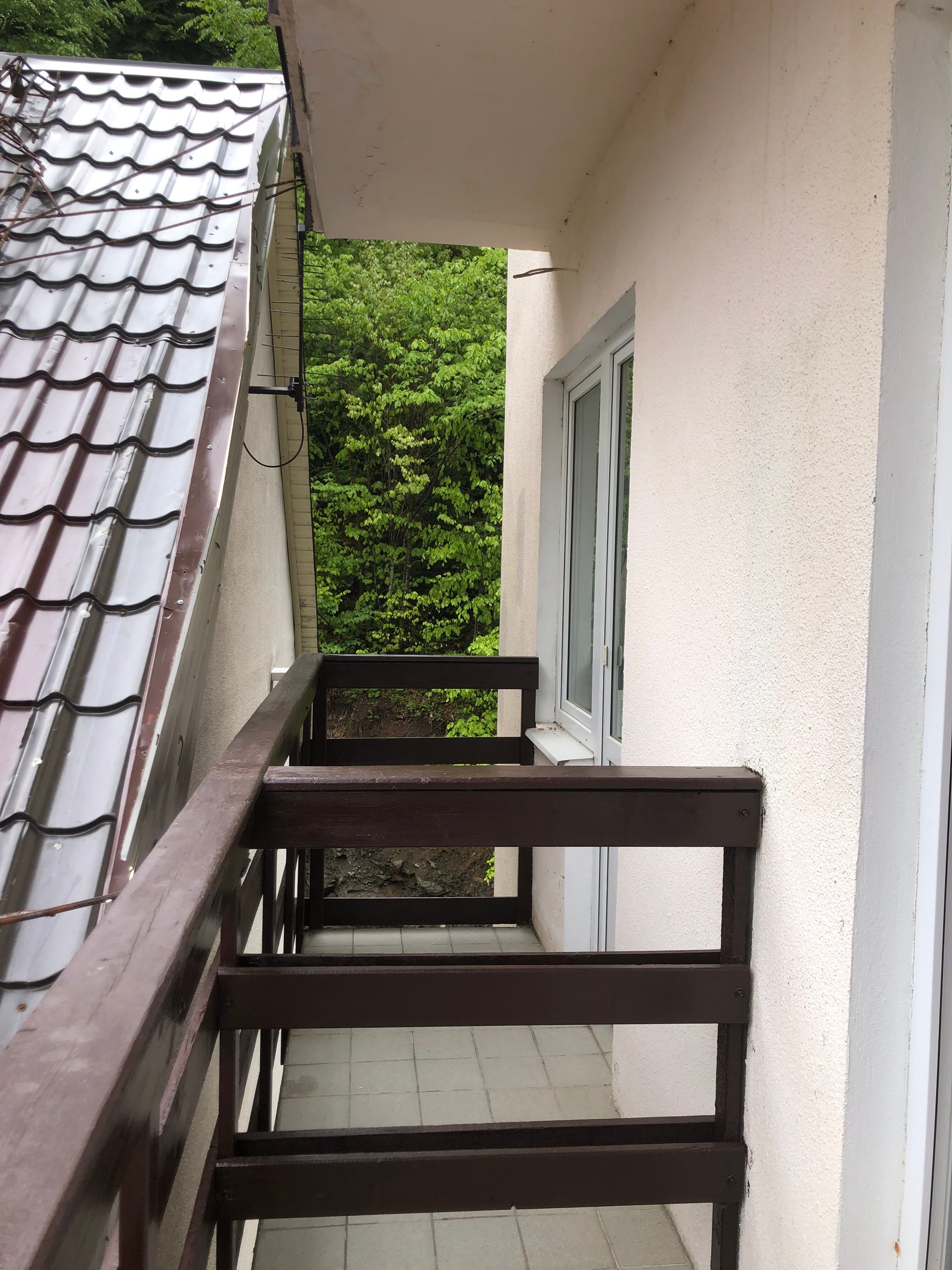 Фото Снежный Барс