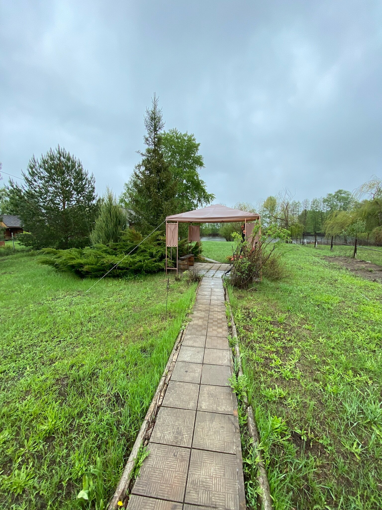 Фото Елховый берег