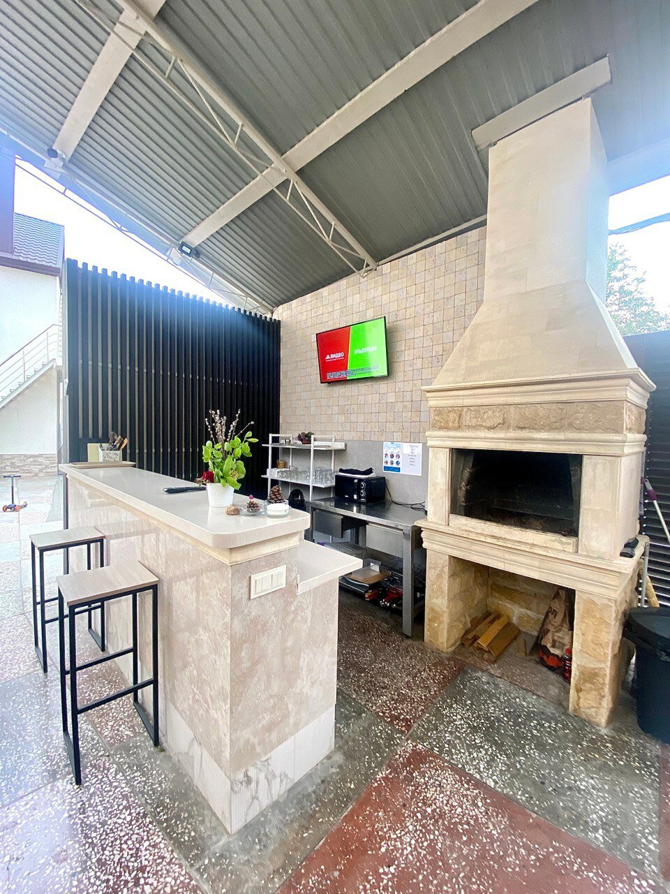 Фото Альбатрос