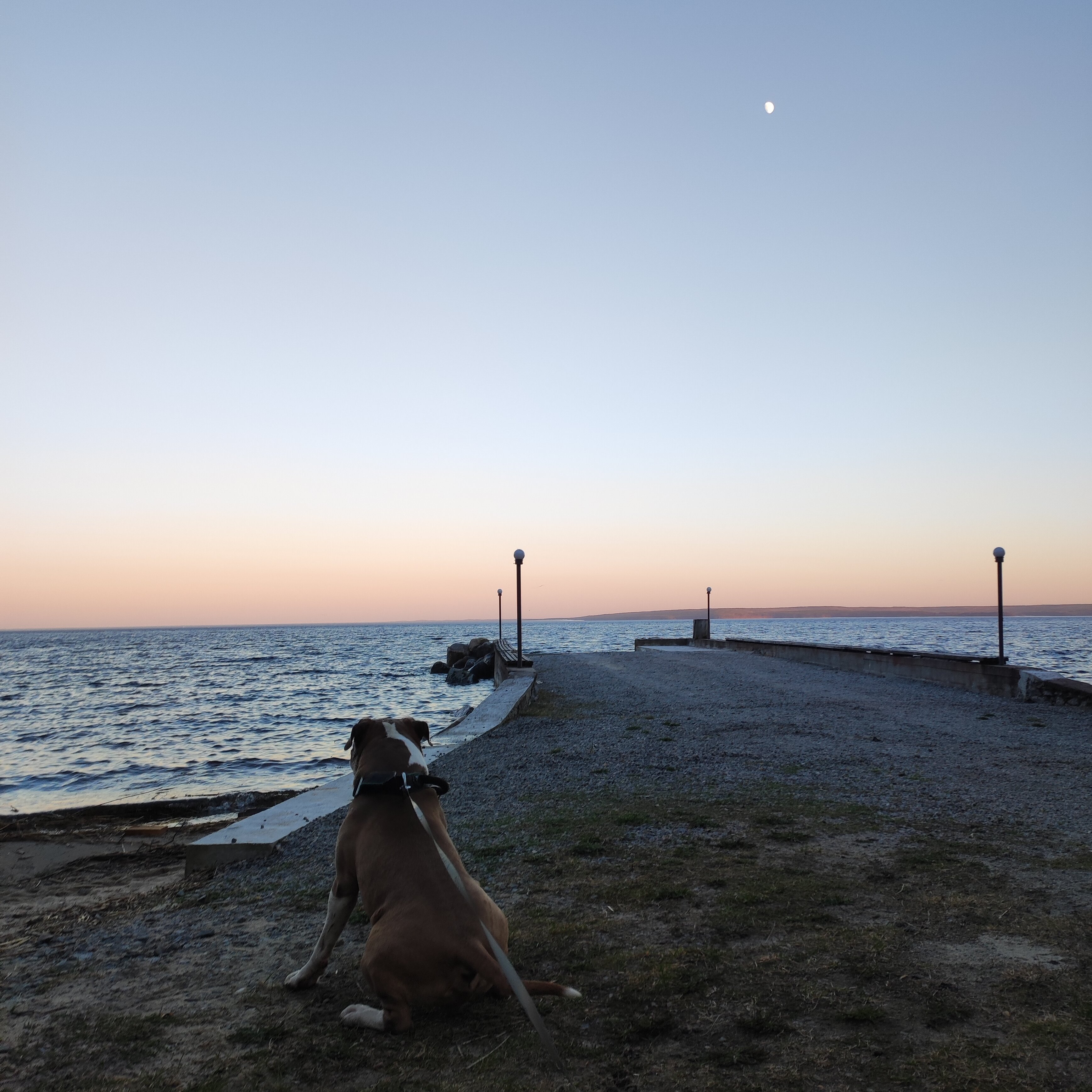 Фото Медвежья Ривьера