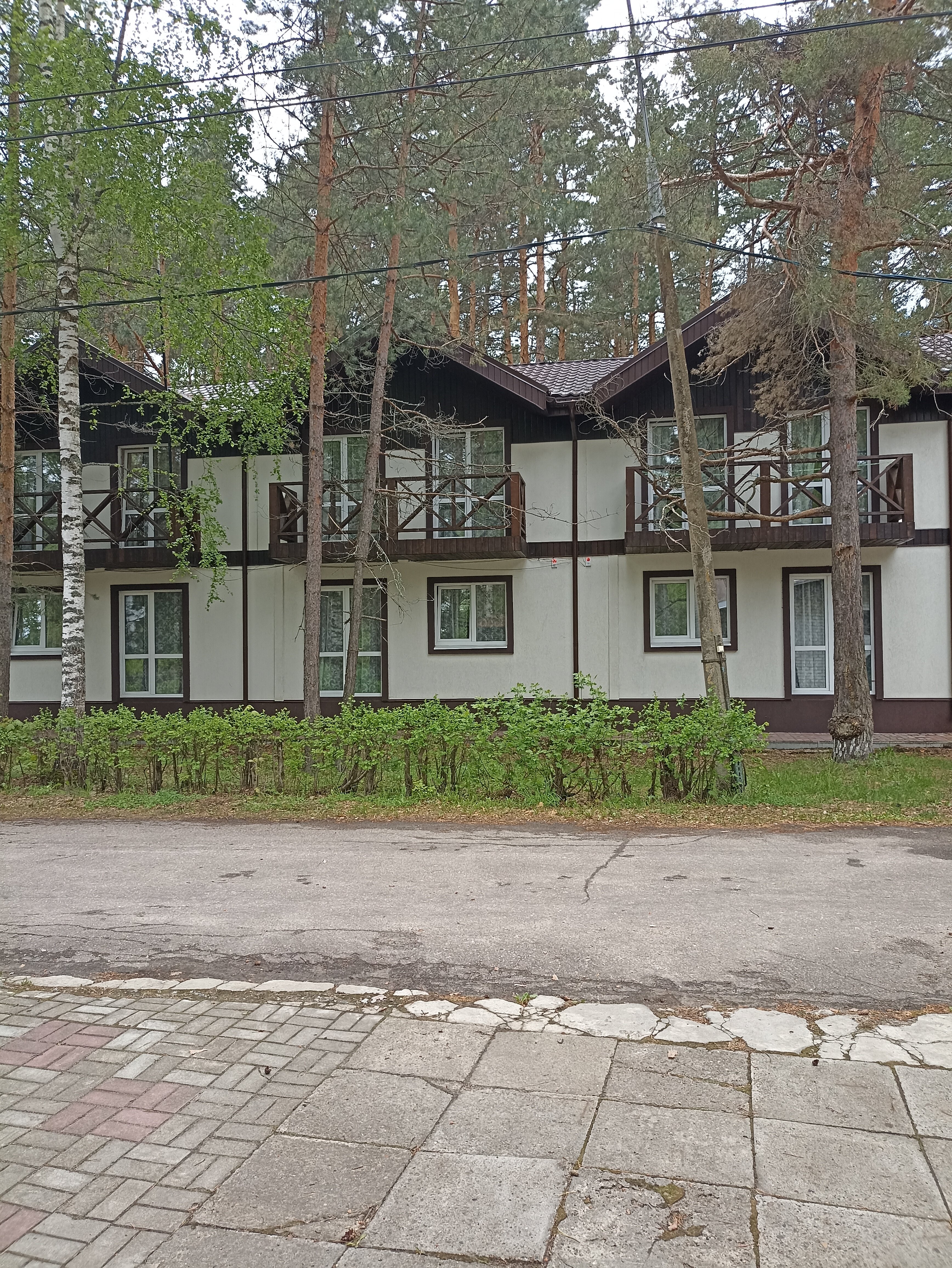 Фото Большая медведица