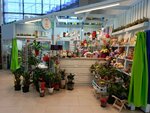 Цветочная лавка Розы-Мимозы (Kuznetskiy prospekt, 33Б), floristeria