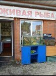 Живая рыба (Вокзальная ул., 2), рыба и морепродукты в Орехово‑Зуево