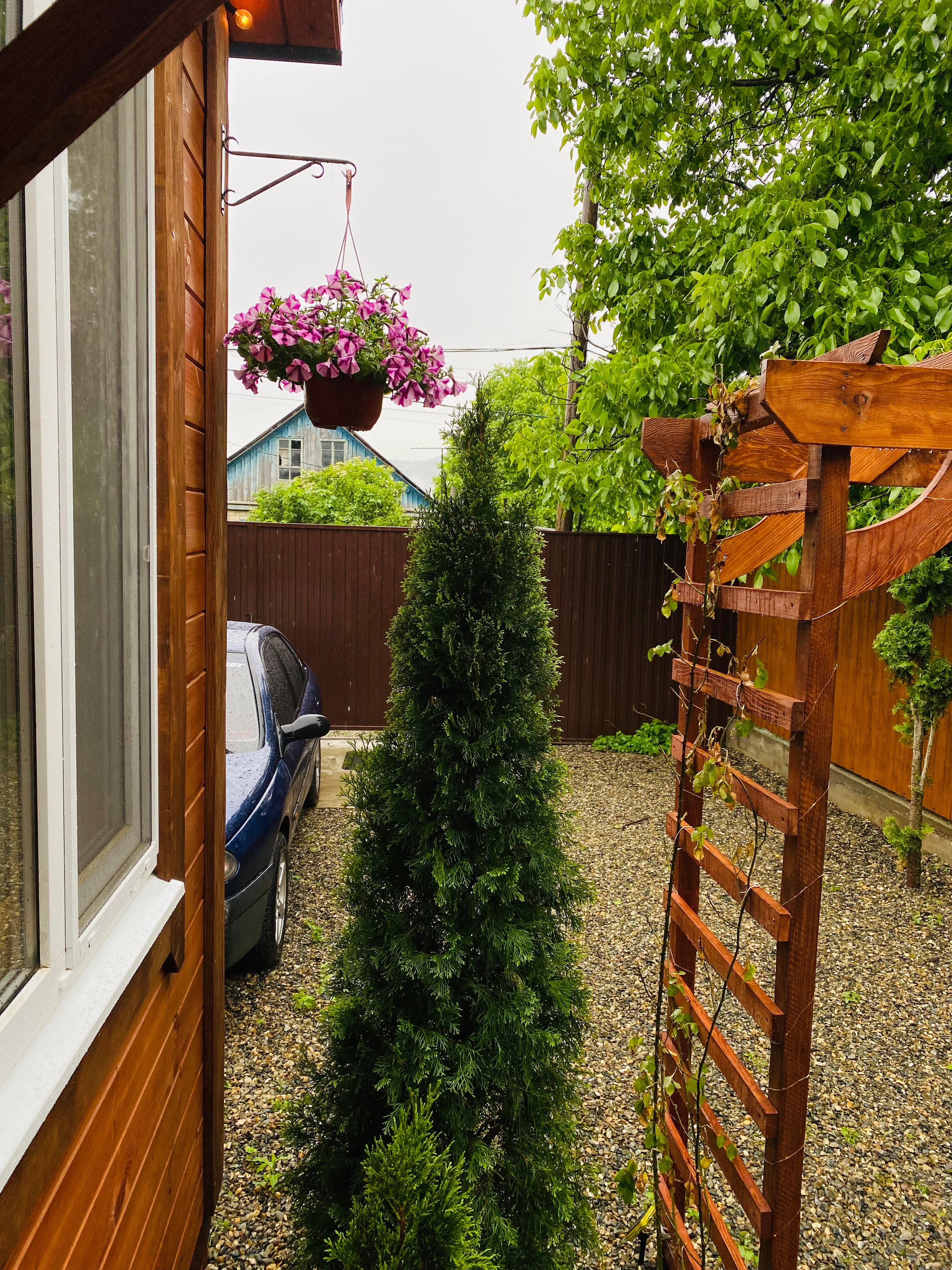 Фото Проксима