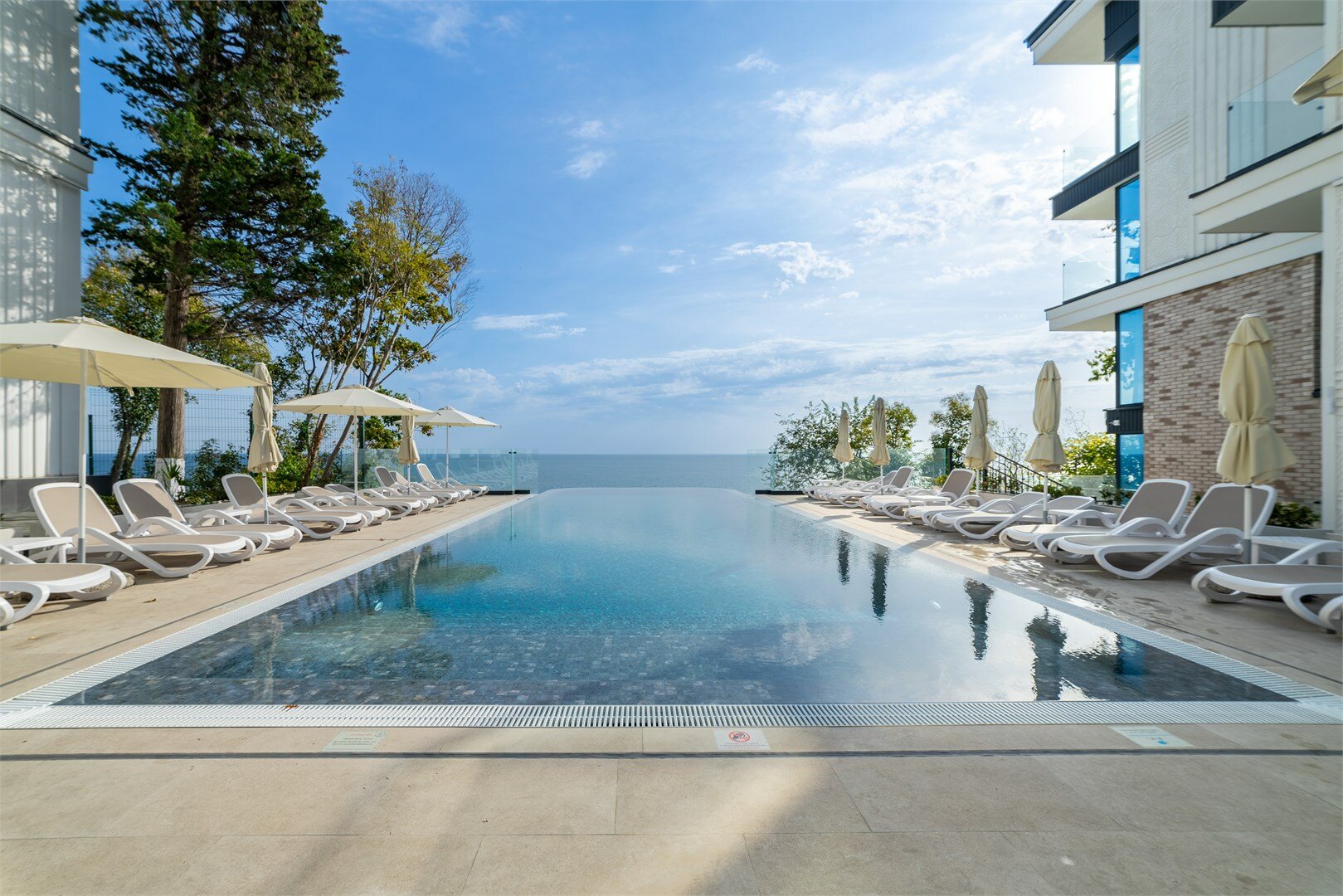 Фото Лучезарный