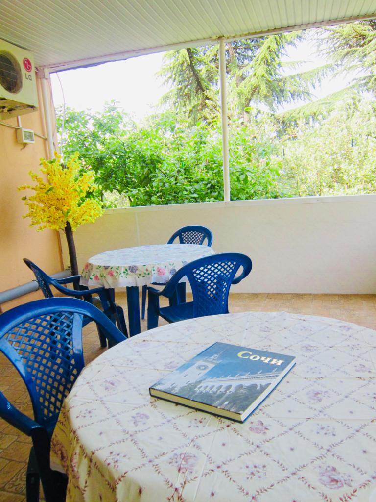 Фото Виолетта