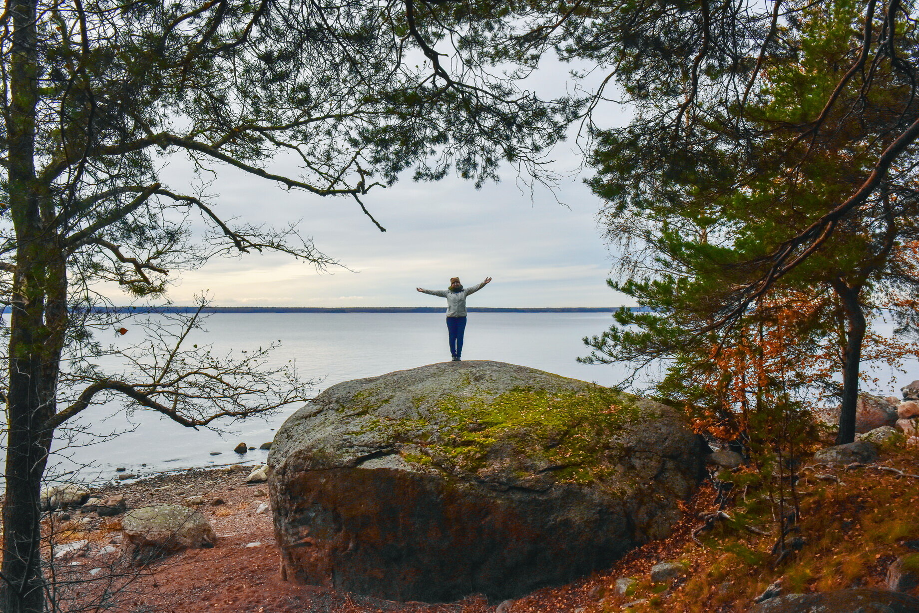 Фото Домик Коиви