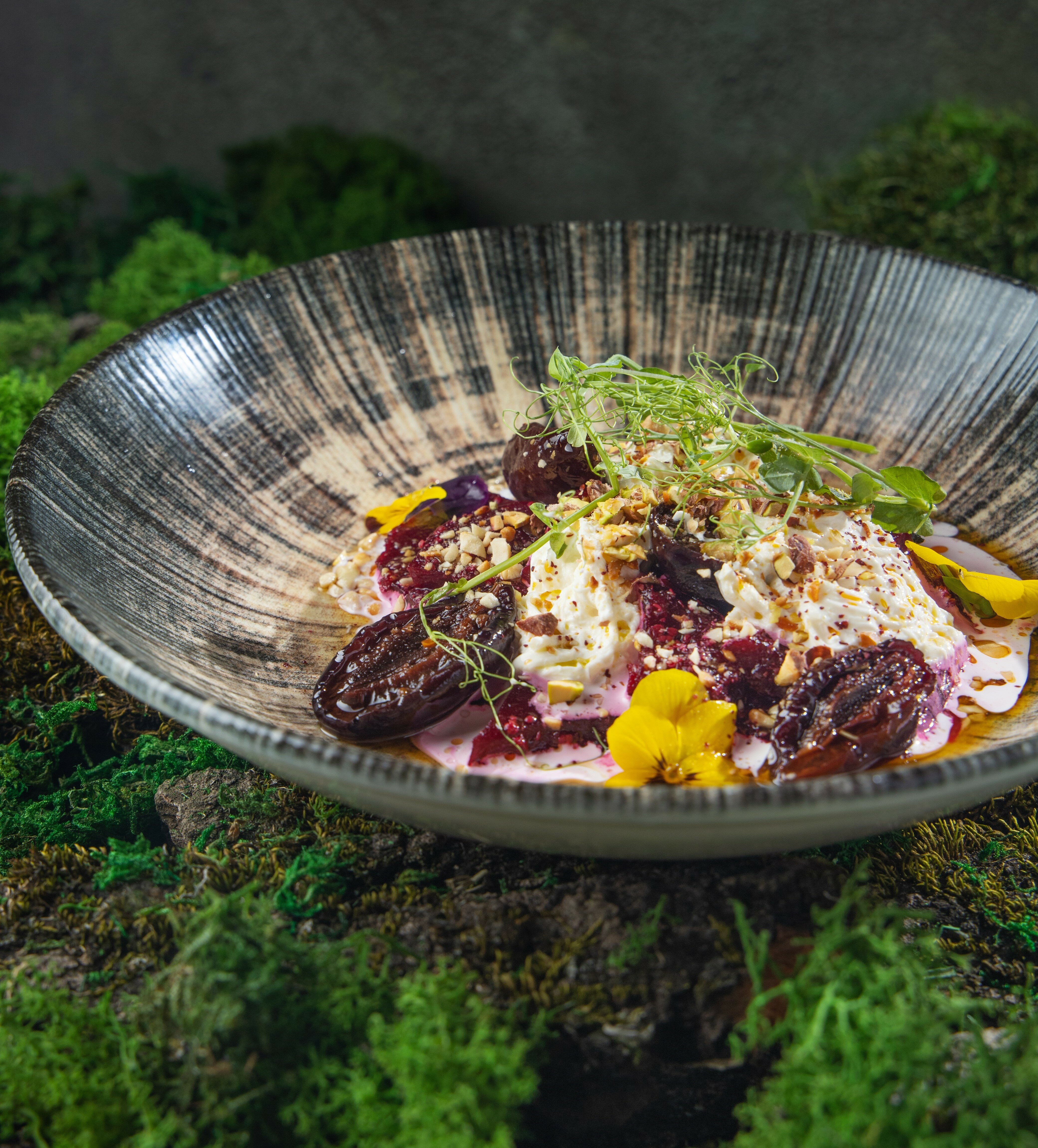 Фото Кедровый бор