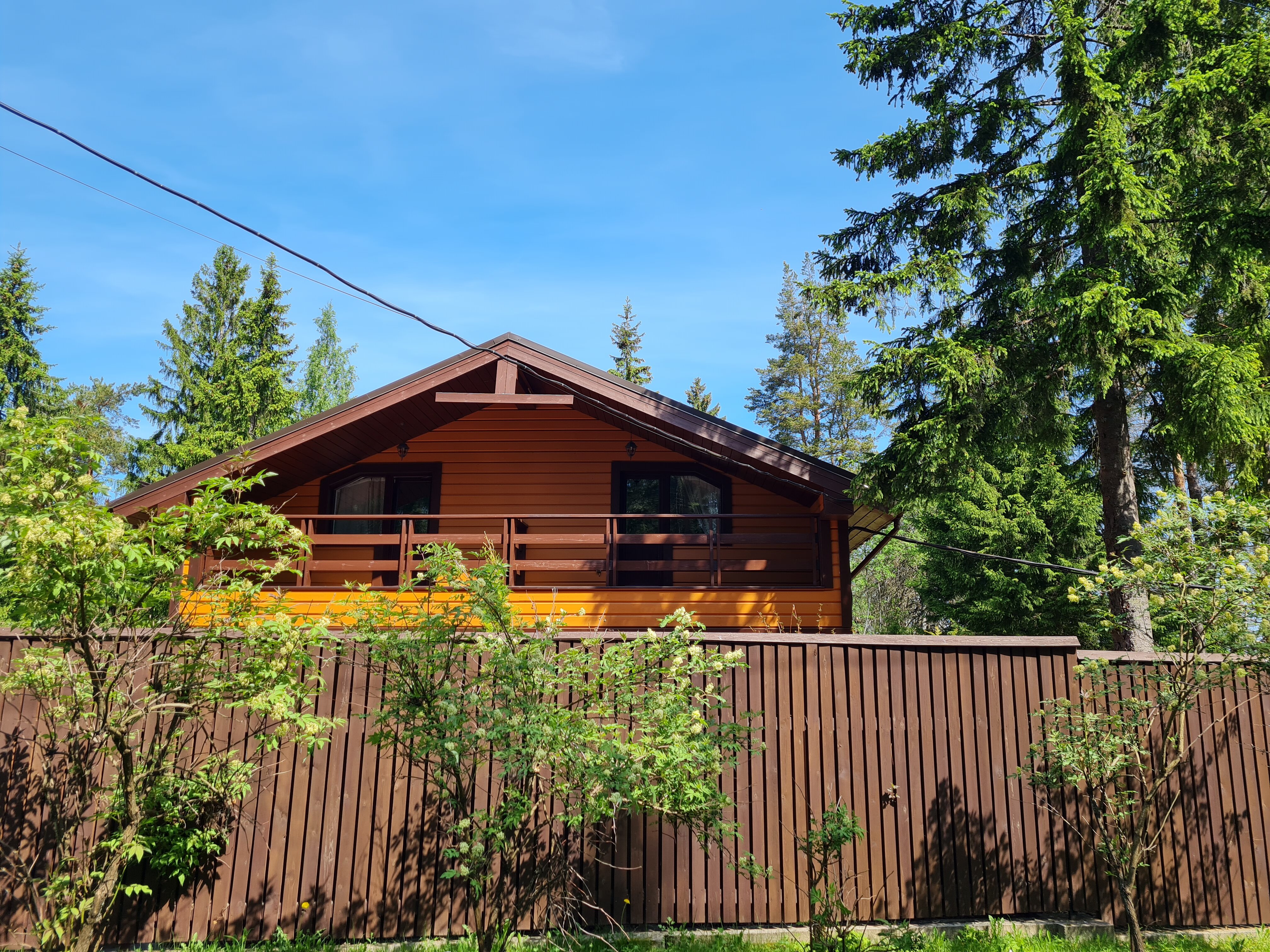 Фото Green Forest