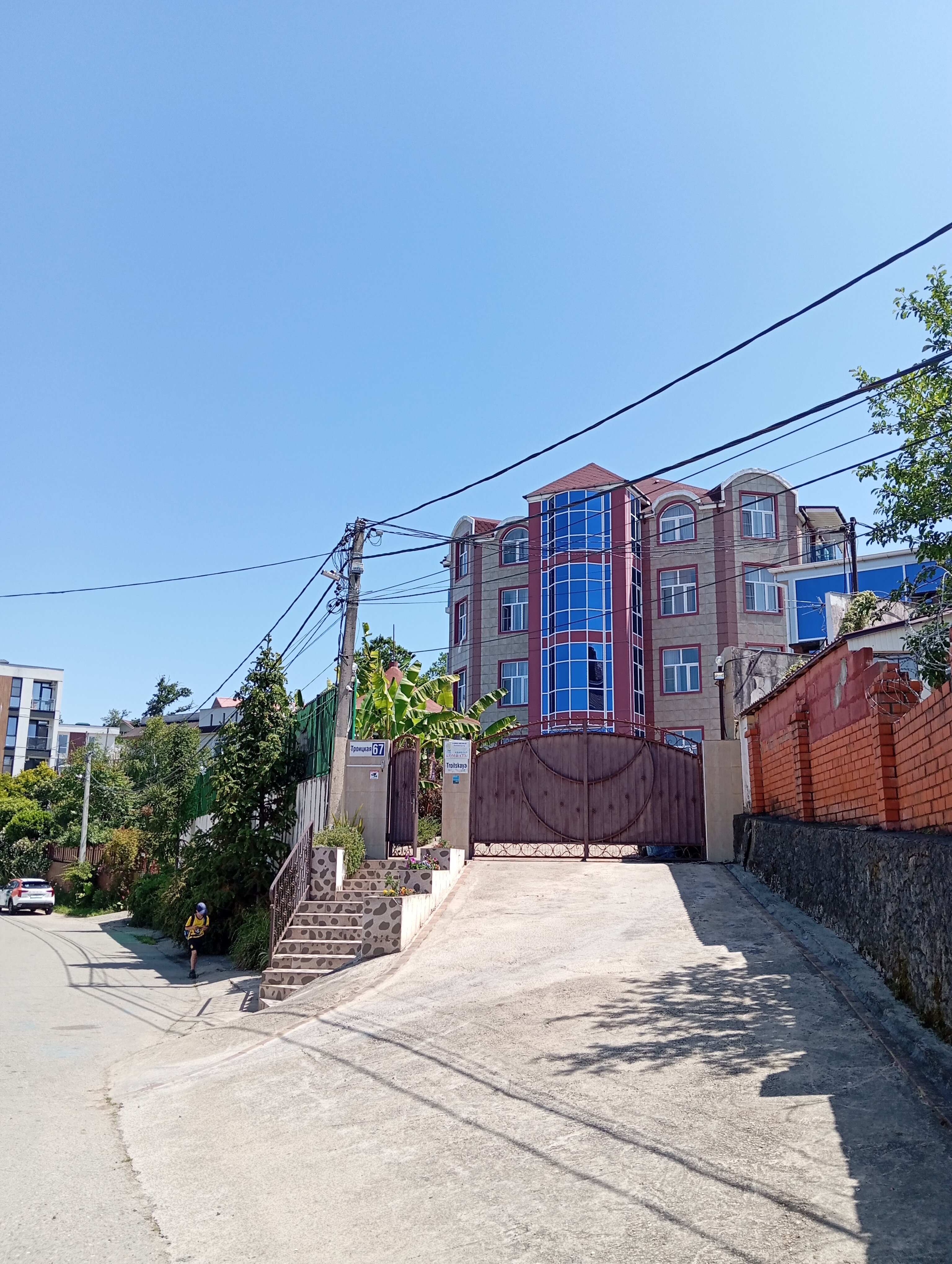 Фото Эдельвейс