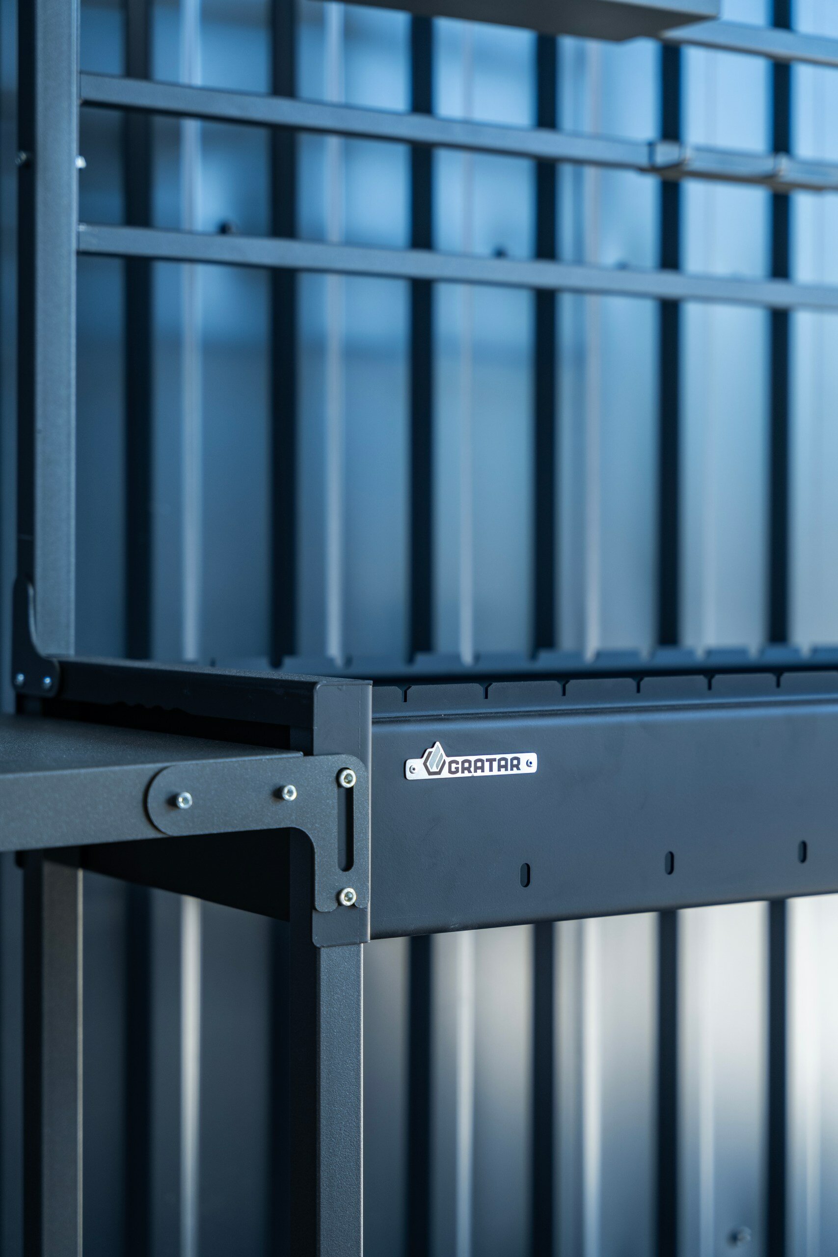 Фото Dионис