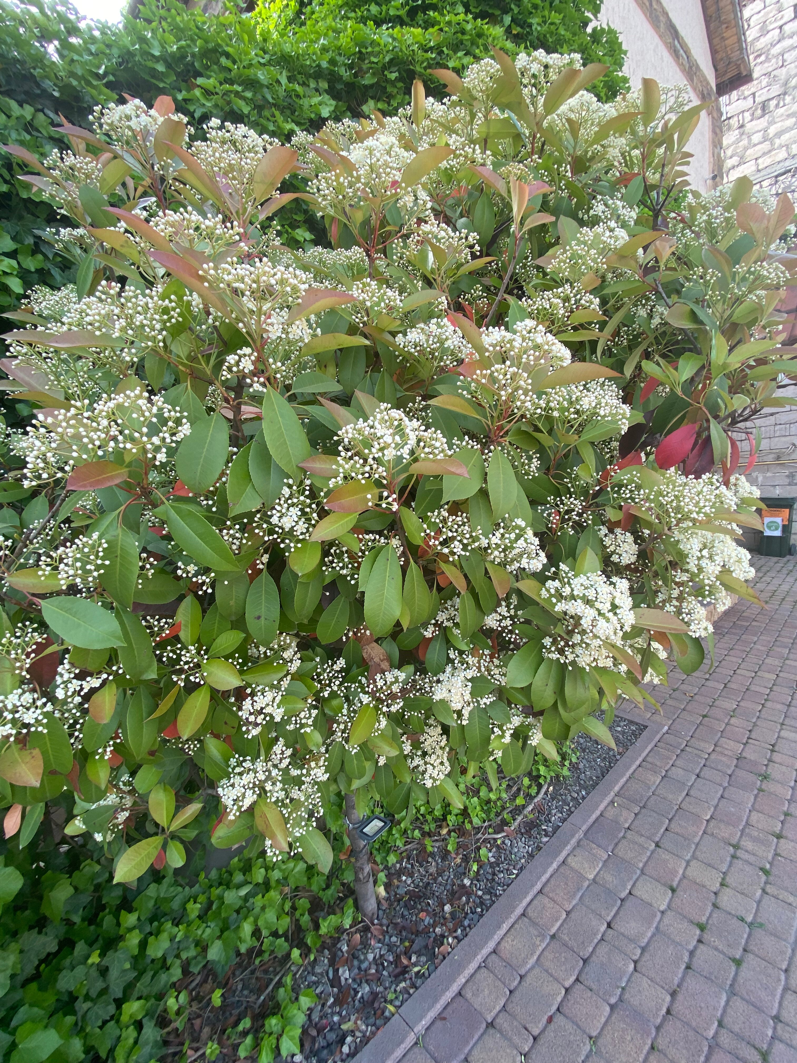 Фото Городок