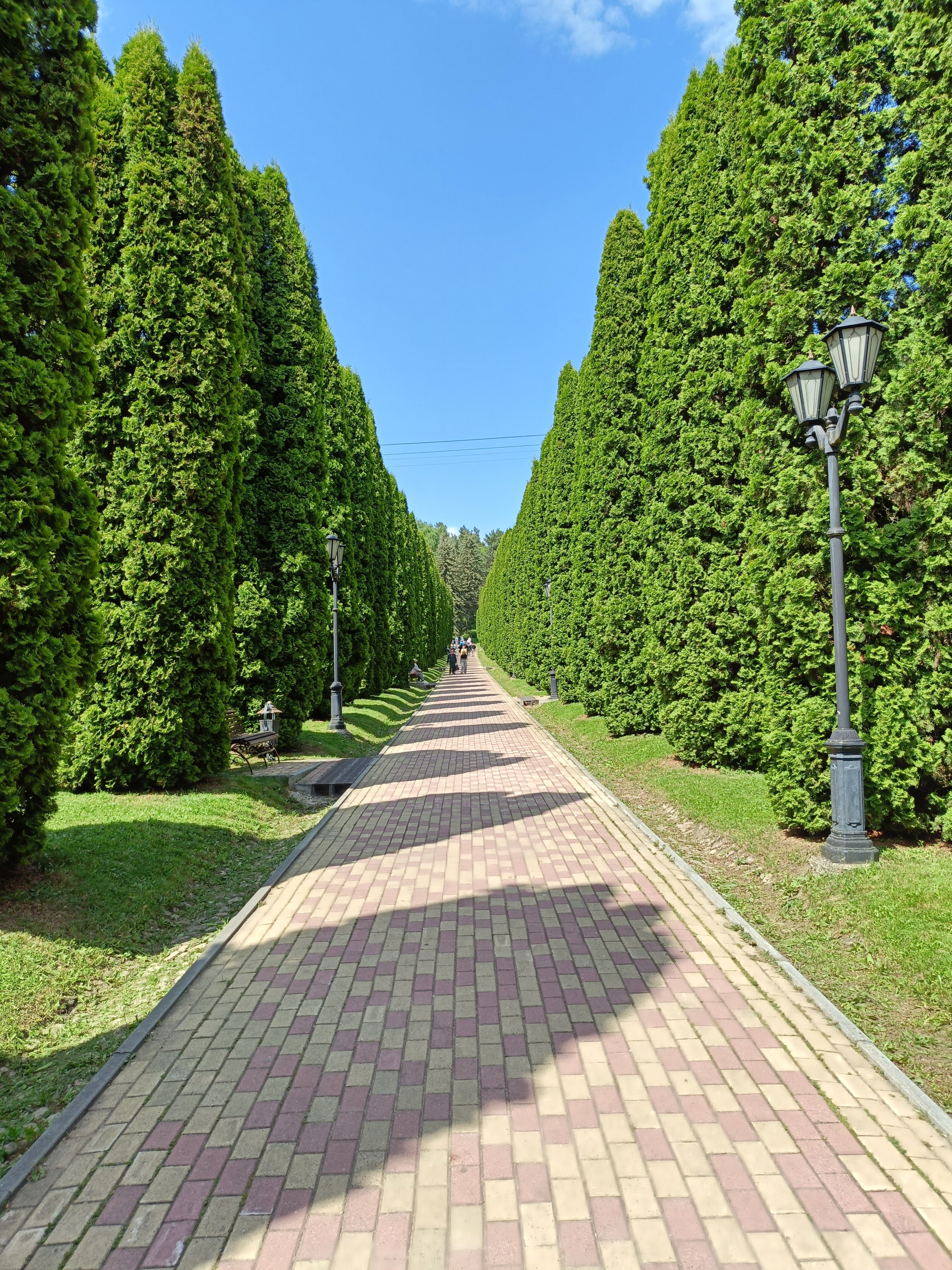 Фото Марсель