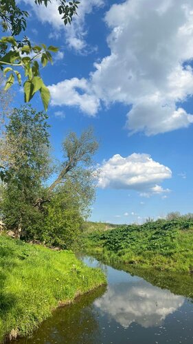 Ёлки-Палки — фото 5
