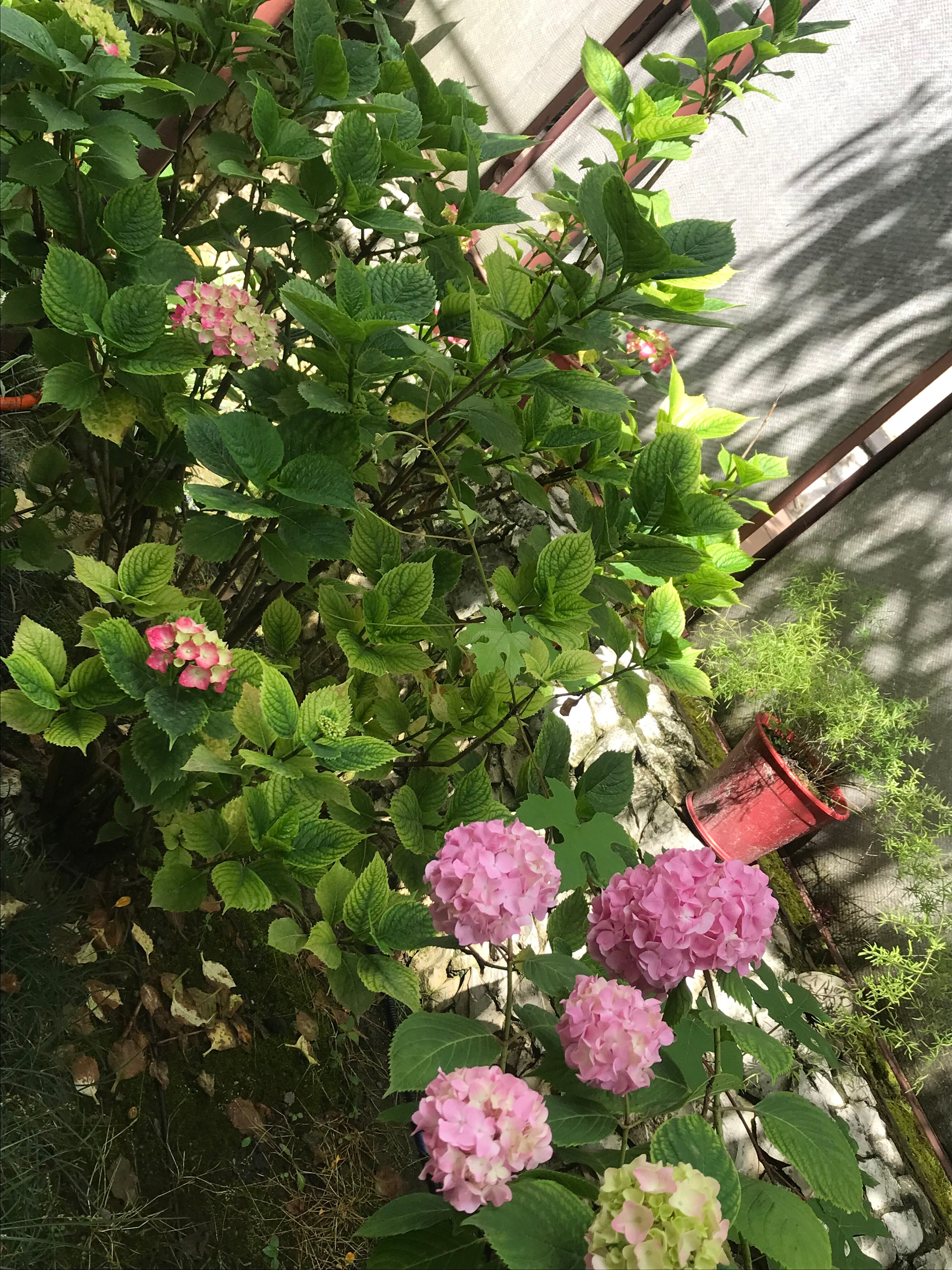 Фото Енисей