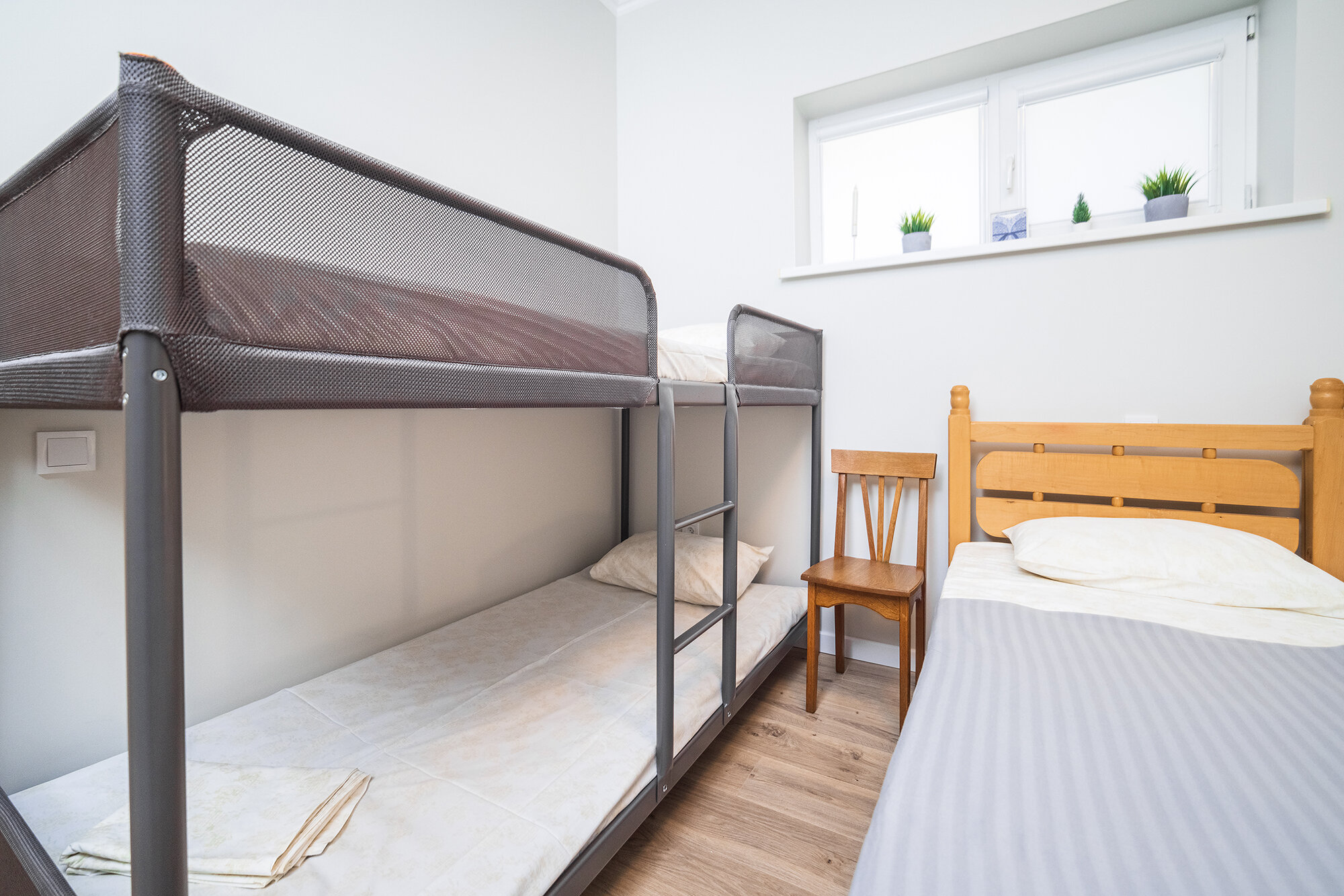 Фото Абрикос