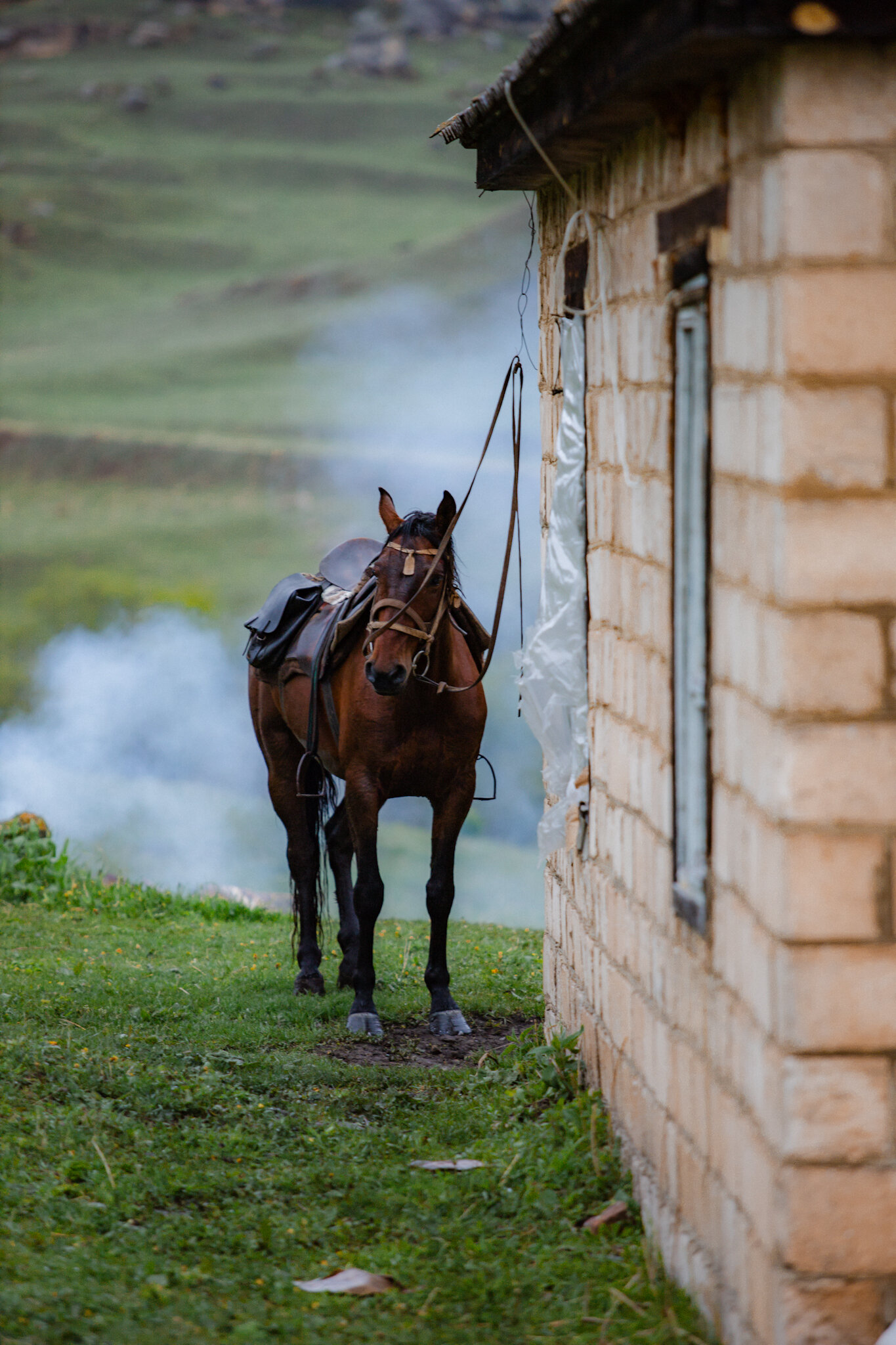 Фото Доходный дом на Яснополянской