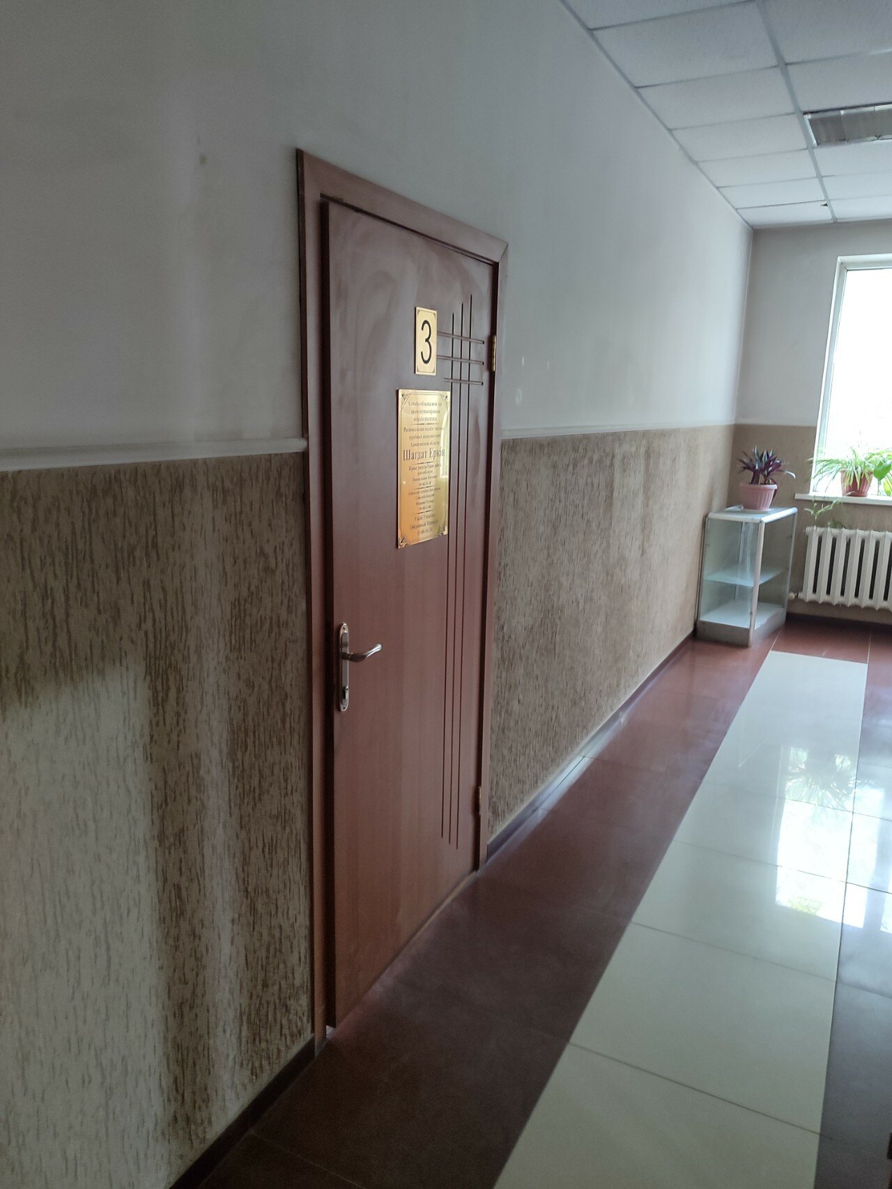 Жас балапандардың жыныстық қатынасы