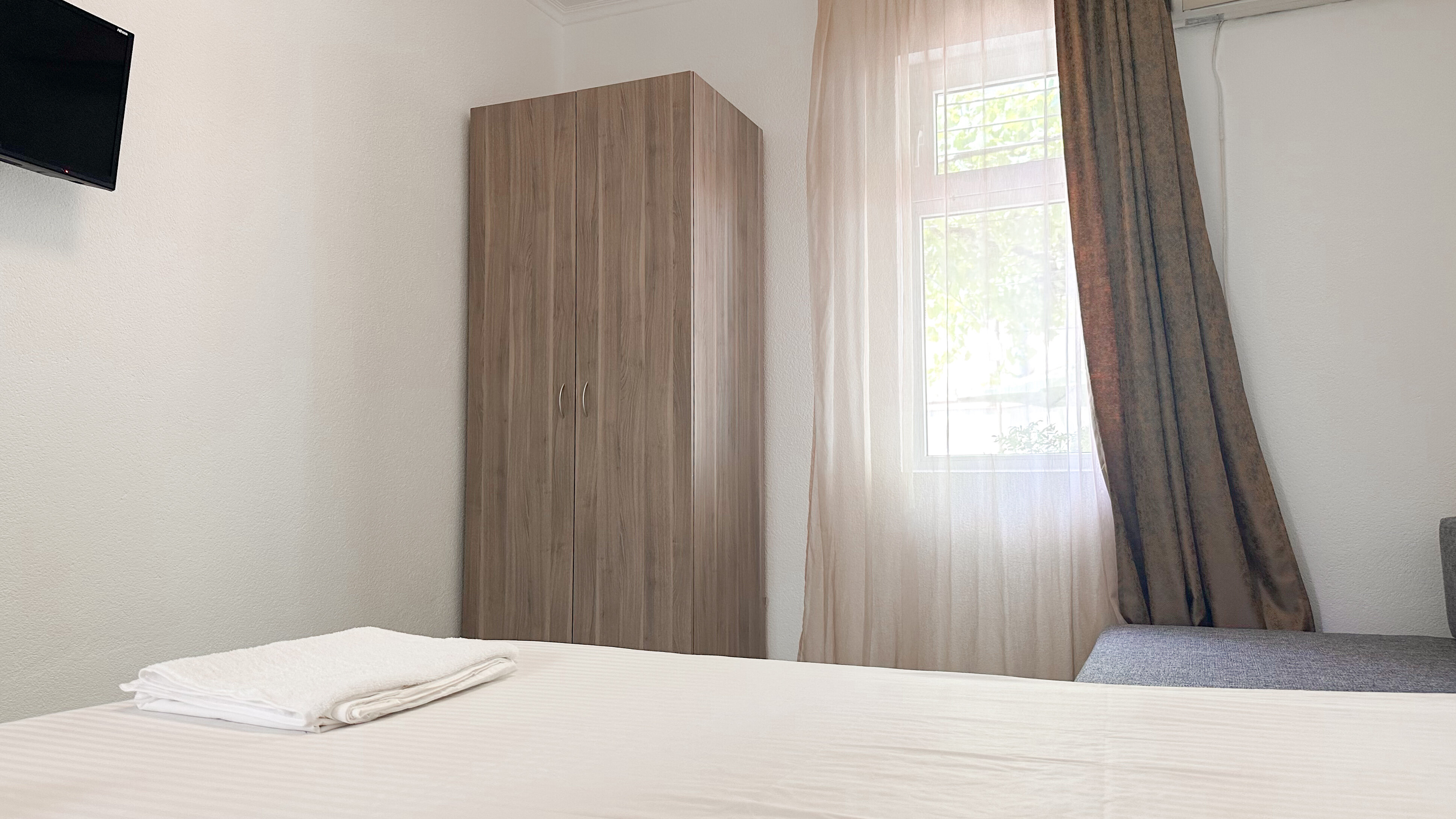 Фото Дельфиния