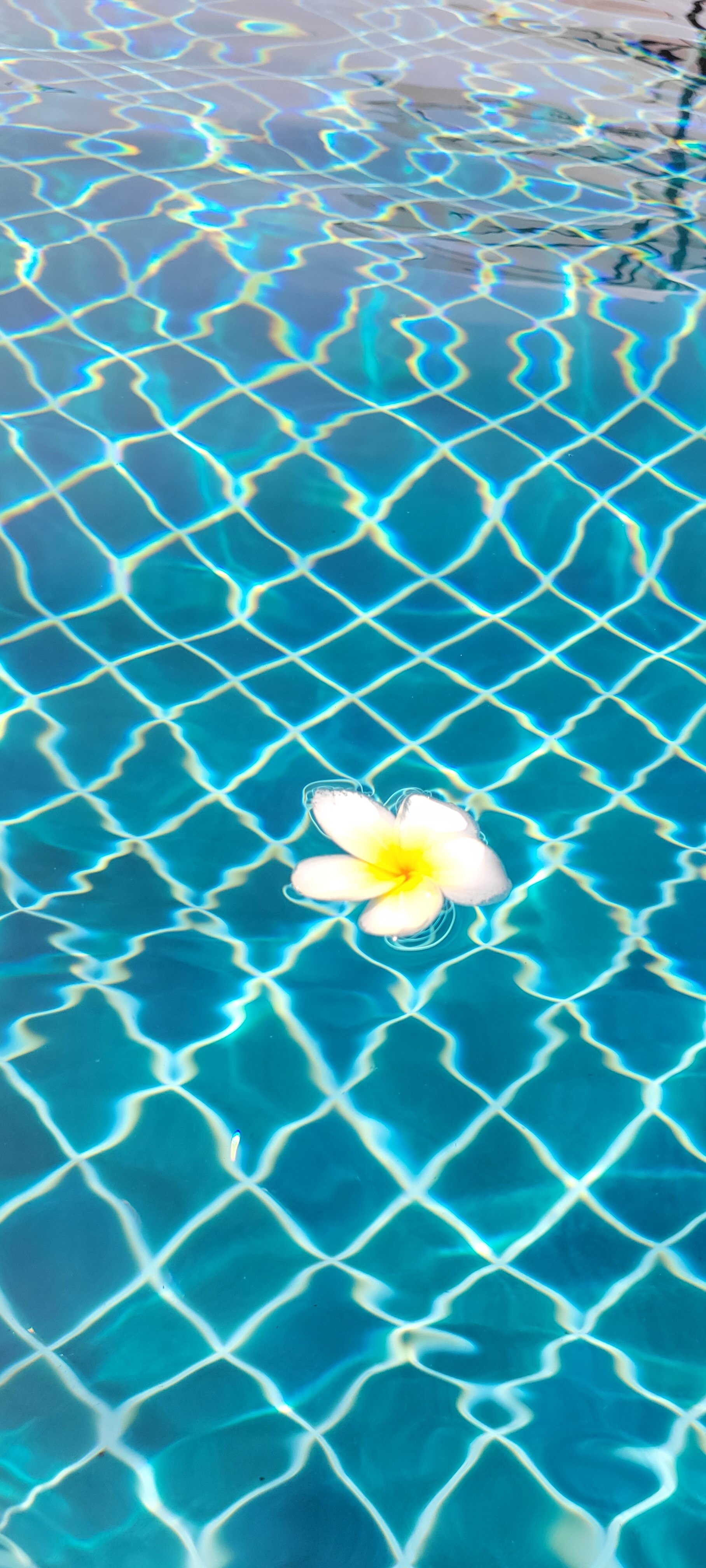 Фото Pacific Club Resort