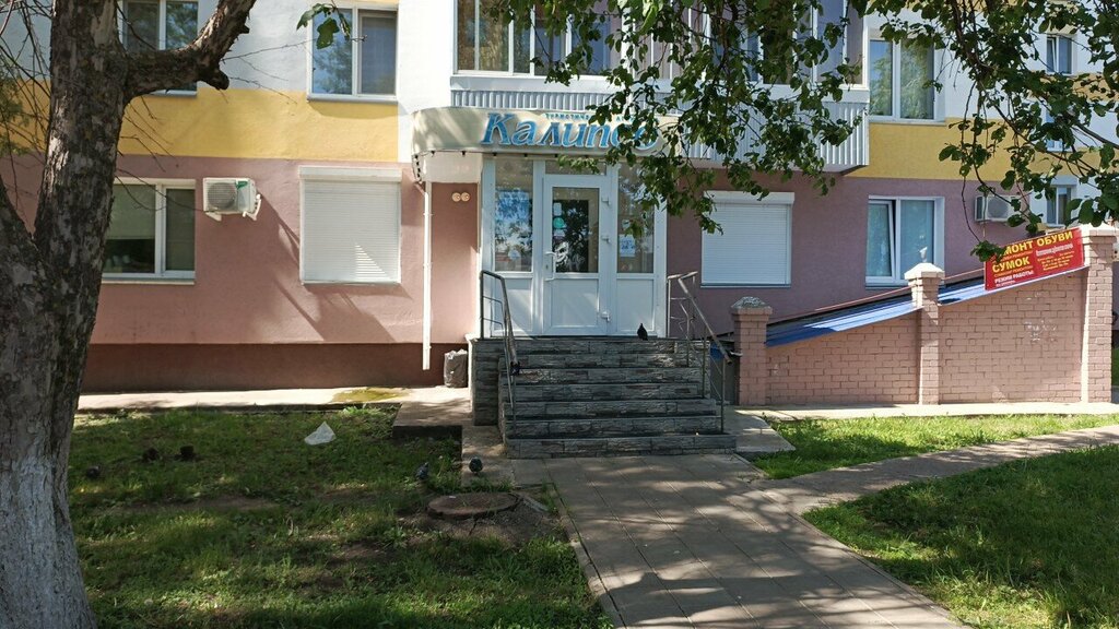 وكالة أسفار Turisticheskoye agentstvo Kalipso ، نابريجني تشيلني، صورة