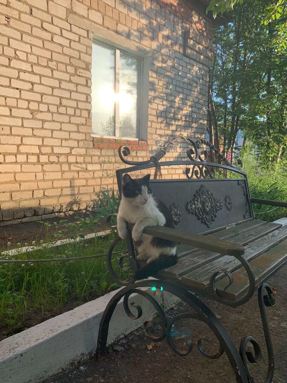 Фото Москвич