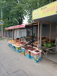 Vegetables and fruits (Edil Erǵojın kóshesi, 20), greengrocery