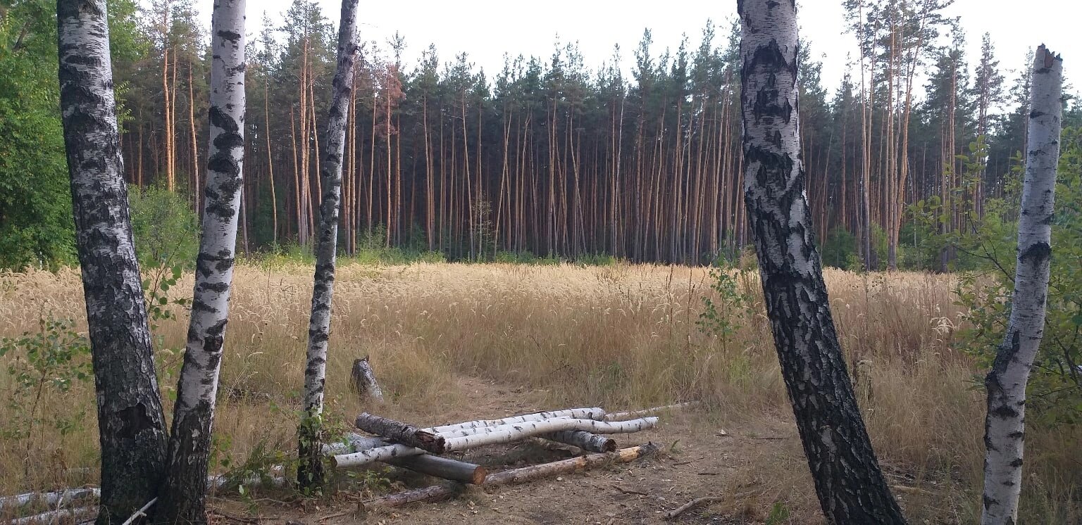 Фото Замок у Леса