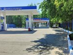 Free Toilet (Nursultan Nazarbayev avenue, 153А), toilet