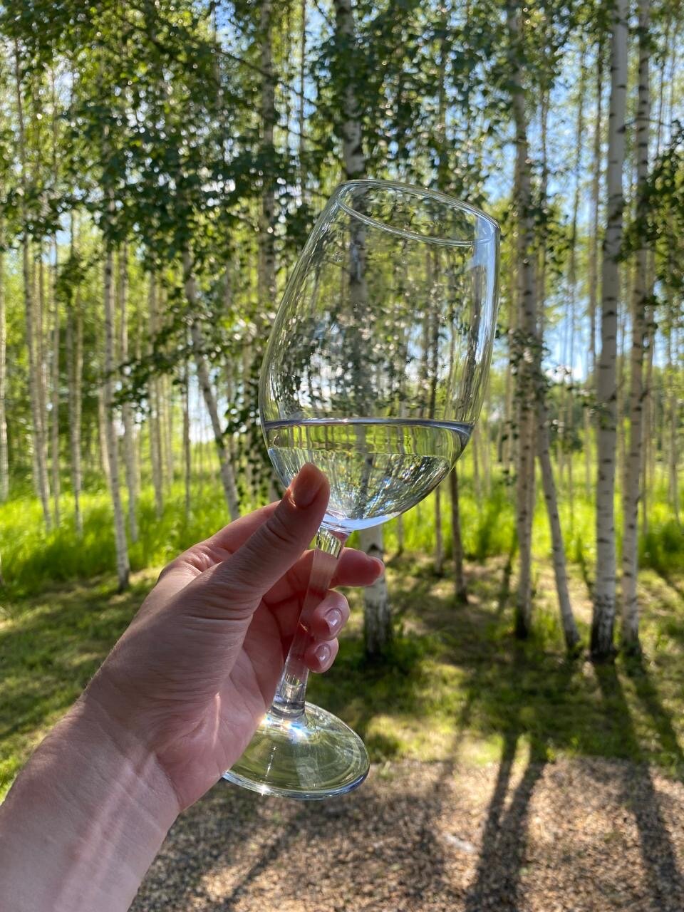 Фото Эко дача Берёза