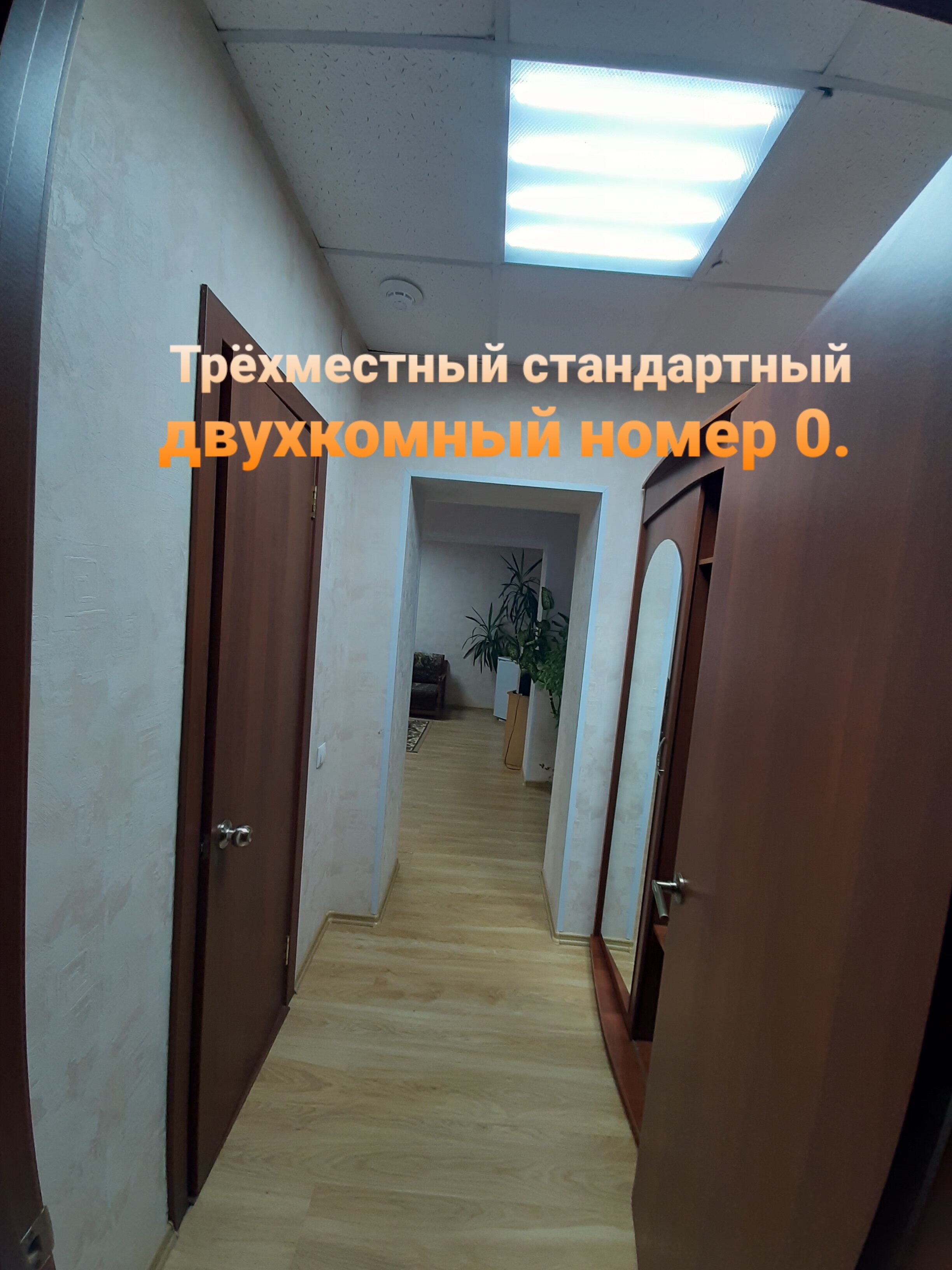 Фото Колибри