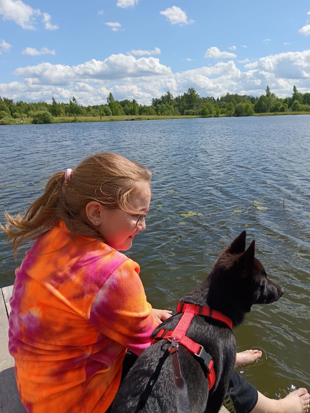 Фото Вечера в Подмосковье