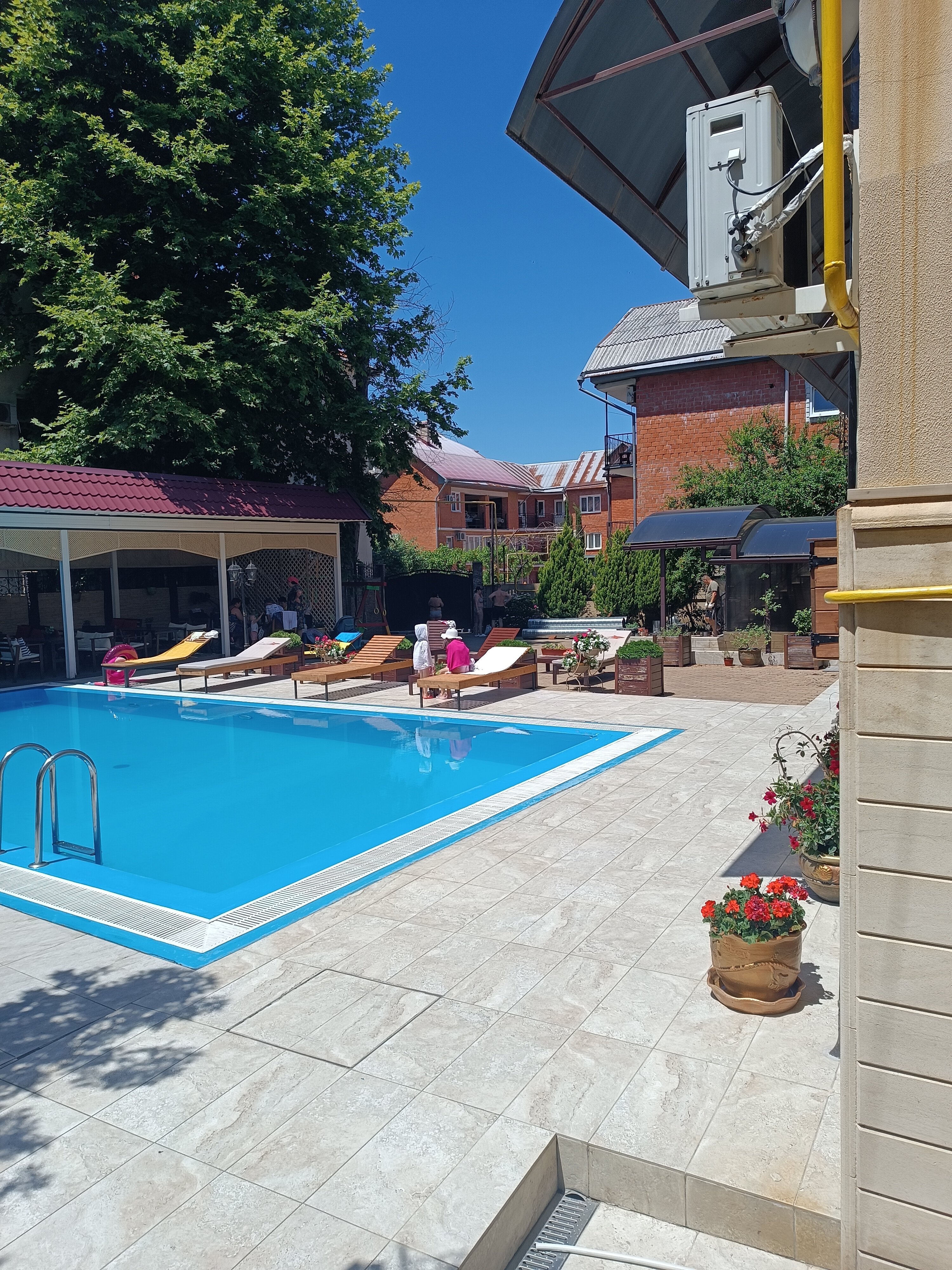 Фото Катран