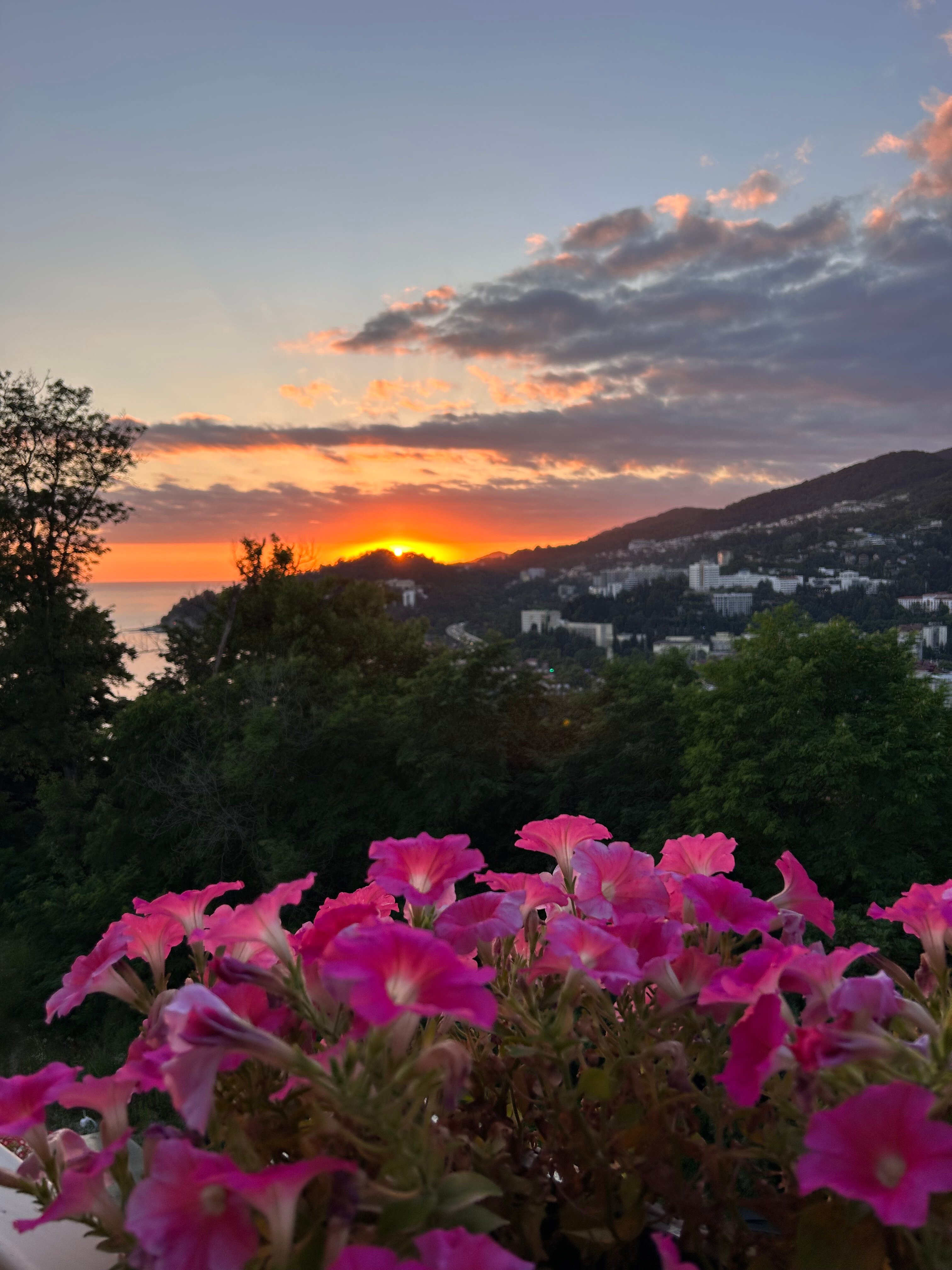 Фото Флоранс