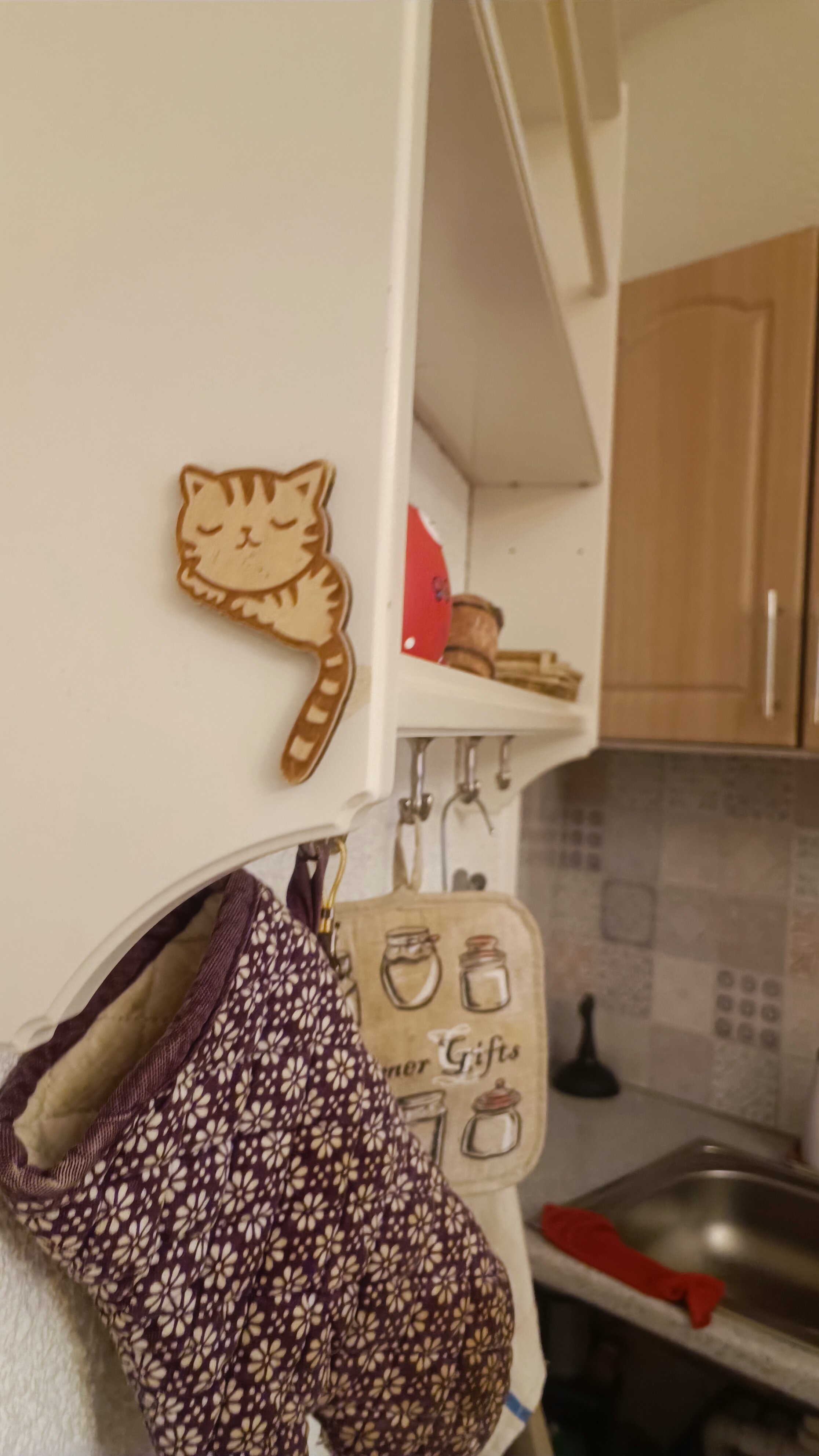 Фото Старый кот