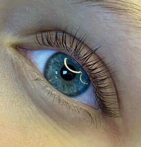 Da beautiful (Krasnaya ulitsa, 61), eyebrow and eyelash salon