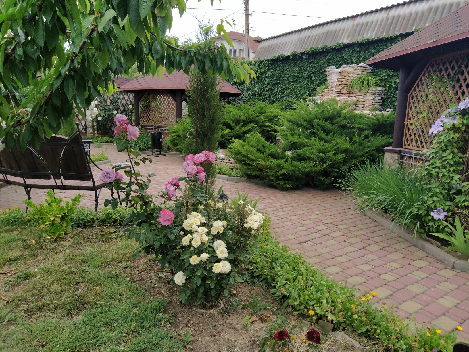 Фото Сказка