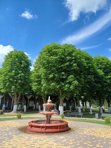 ЦПКиО (Kaliningrad Region, Pravdinsk, TsPKiO), park