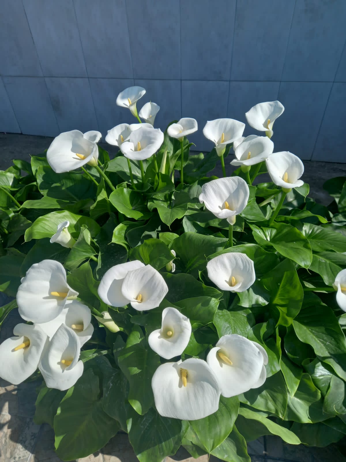 Фото Коттедж Отдых