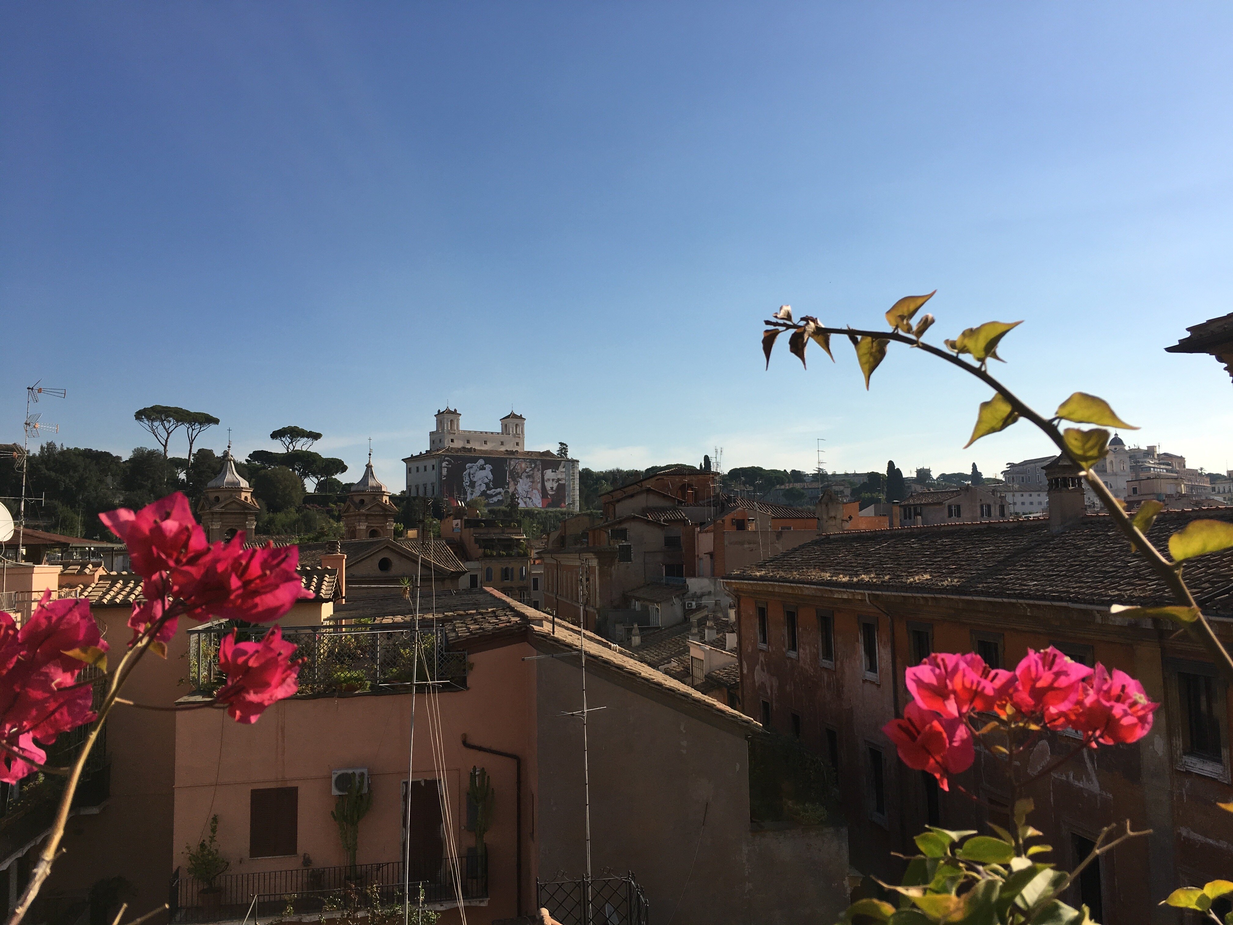 Фото Hotel Mozart