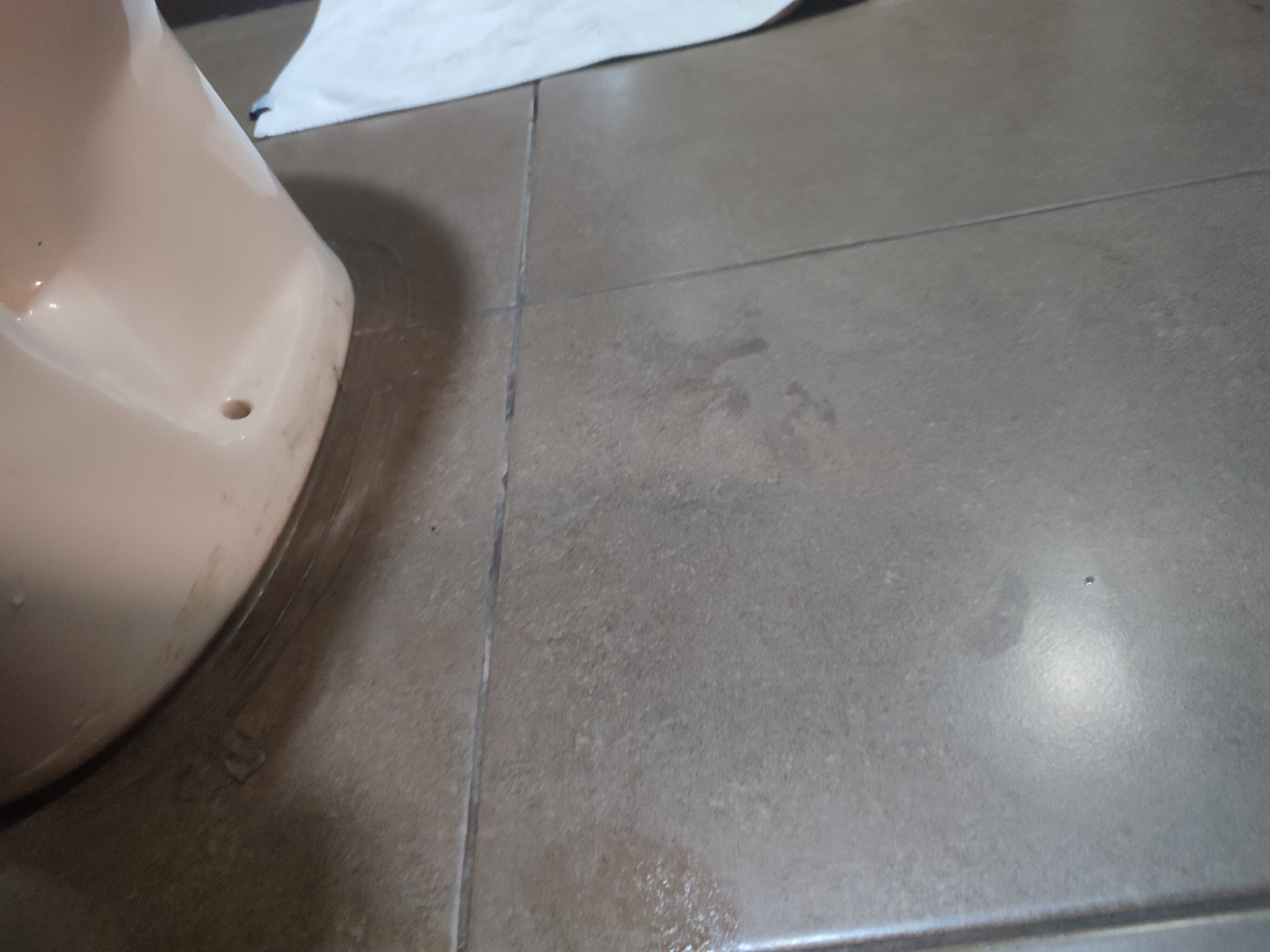 Фото Hotel Rogalux