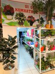 Sanda Flowers (Teleortalyq alaby, 2Д), flower shop